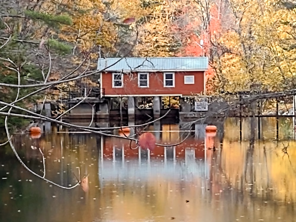 Bristol - Bristol, NH