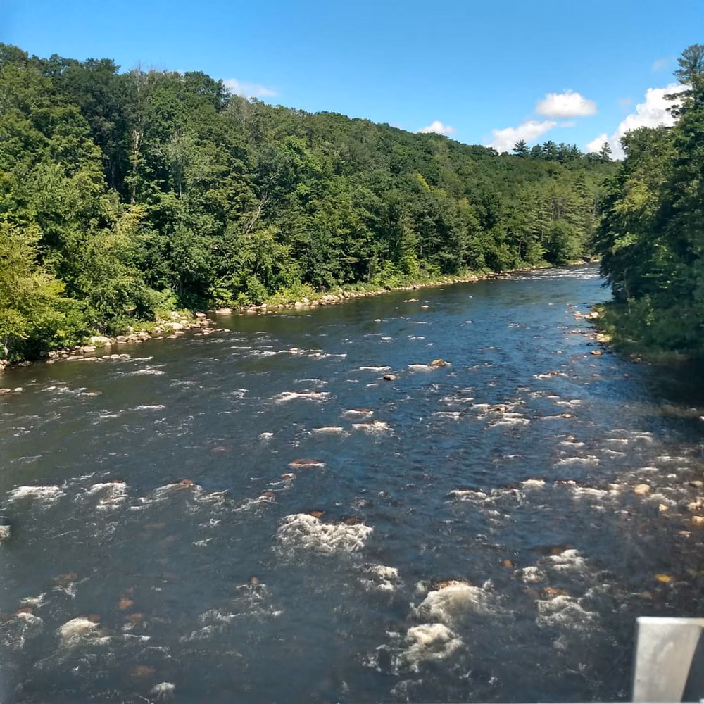 Bristol - Bristol, NH