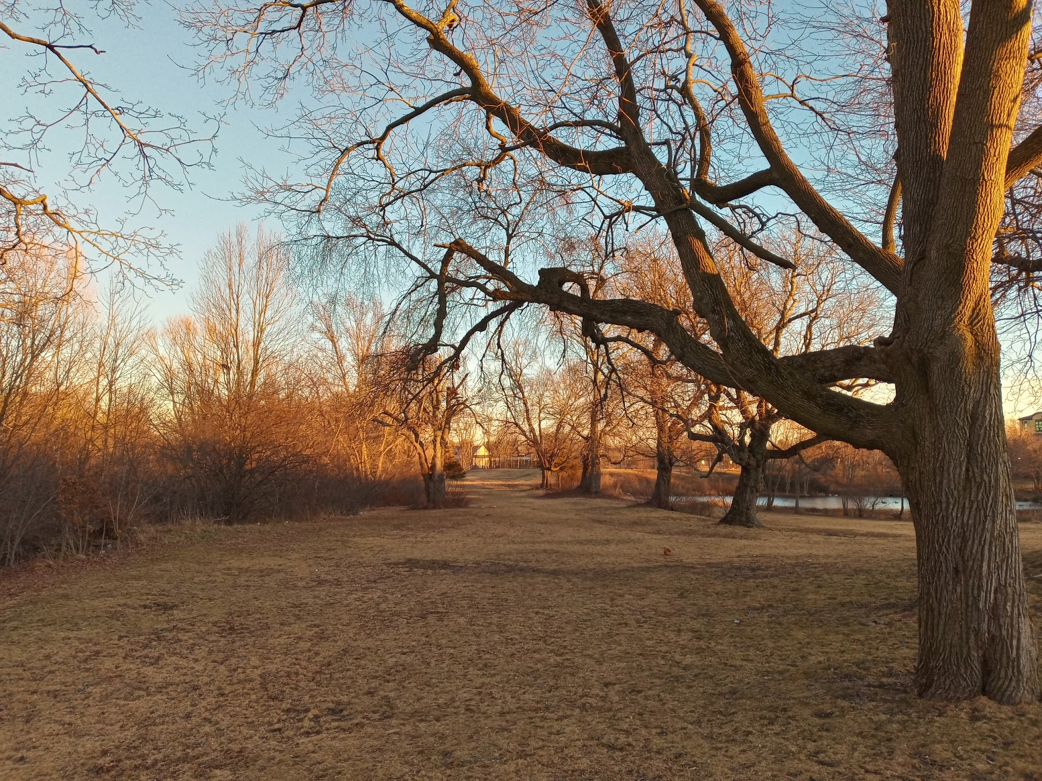 Salisbury Park - Brockton, MA