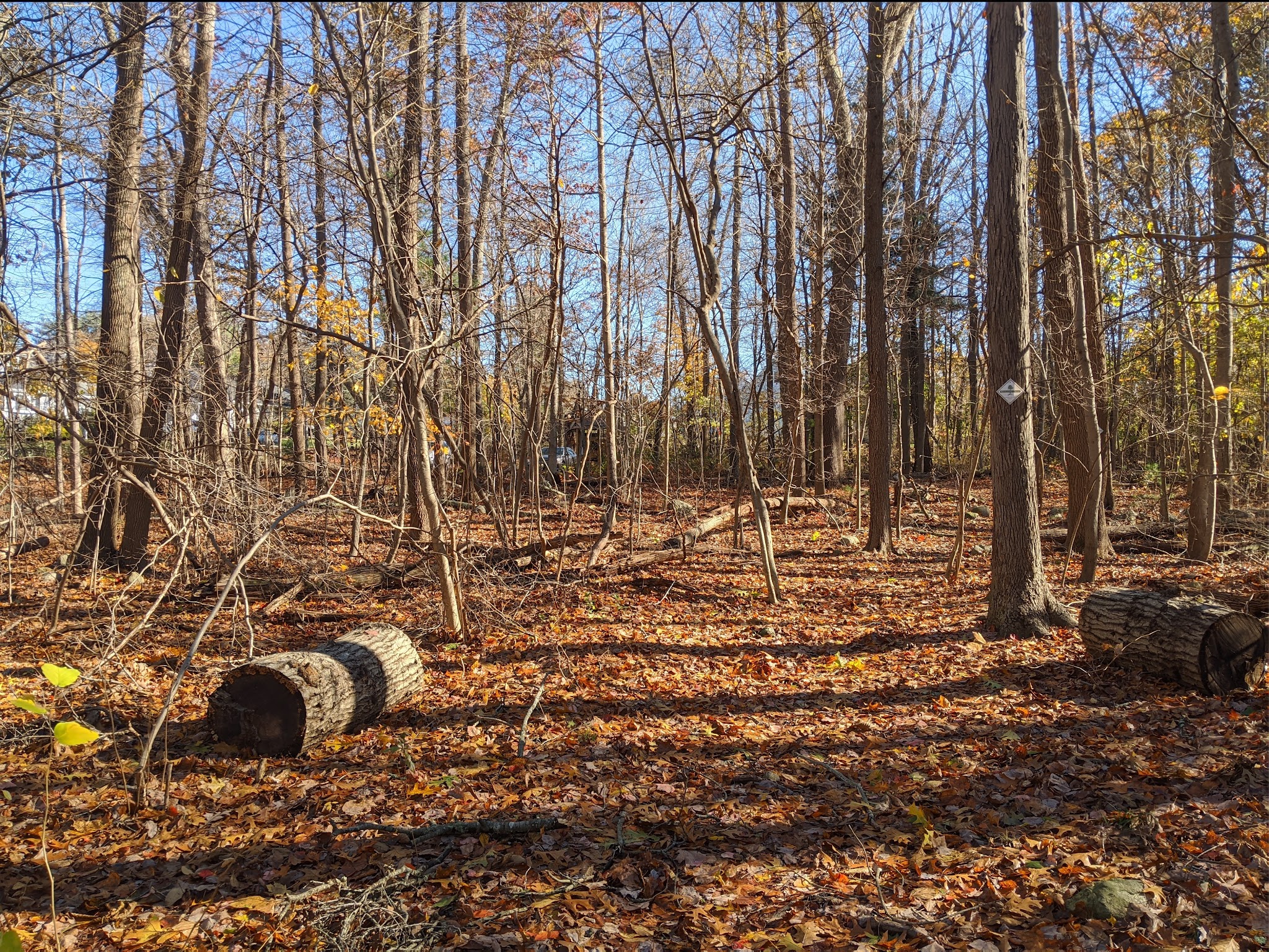 Wildlands Trust - Brockton Audubon Preserve - Brockton, MA