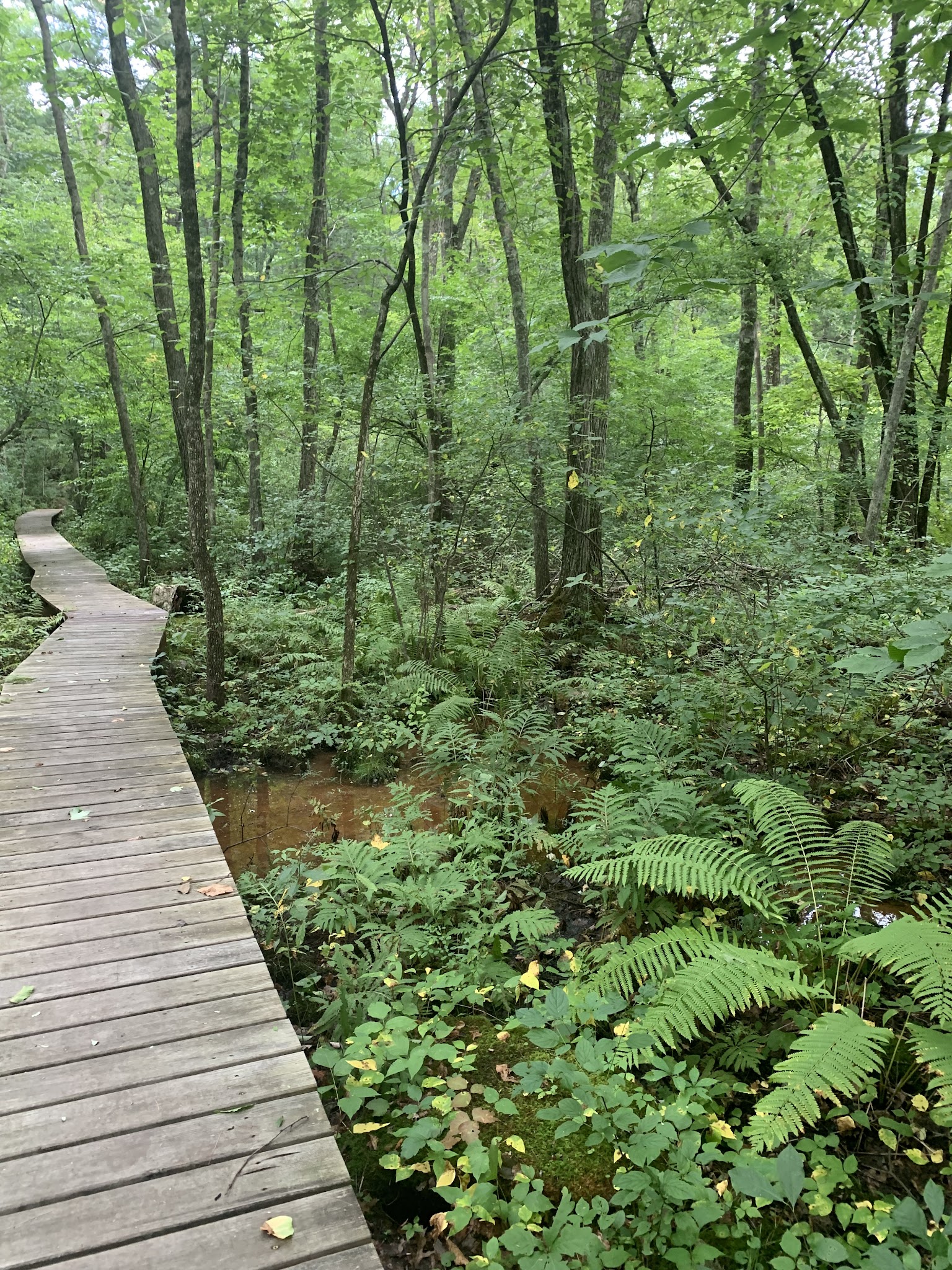 Wildlands Trust - Brockton Audubon Preserve - Brockton, MA