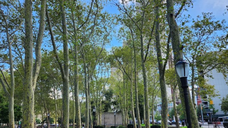 Brooklyn War Memorial - Brooklyn, NY
