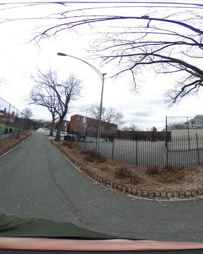 Dog Park - Brooklyn, NY