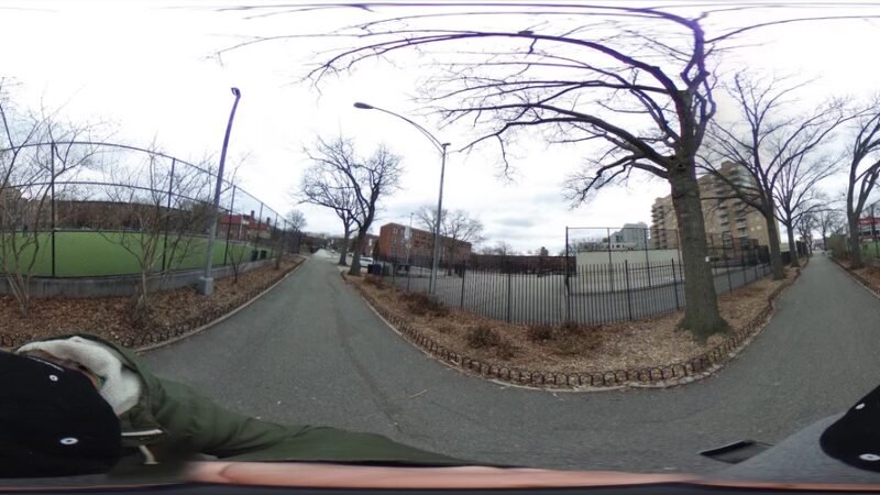 Dog Park - Brooklyn, NY