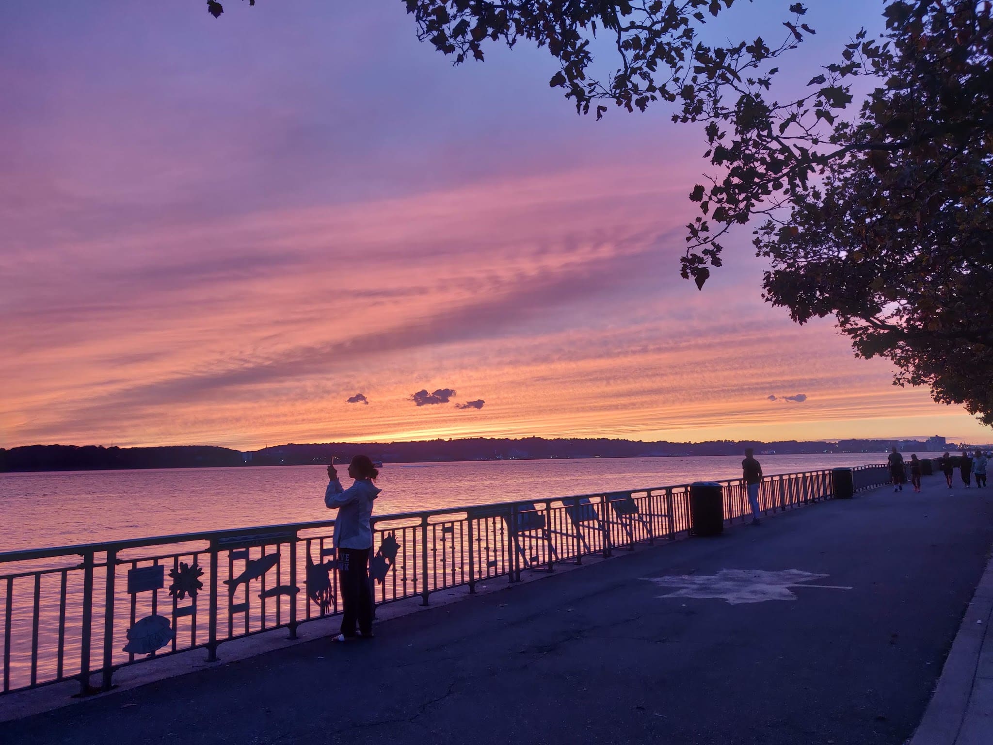 Shore Road Park and Parkway - Brooklyn, NY