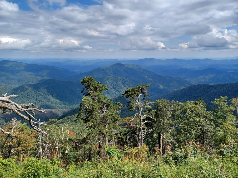 Old Mitchell Trailhead - Burnsville, NC
