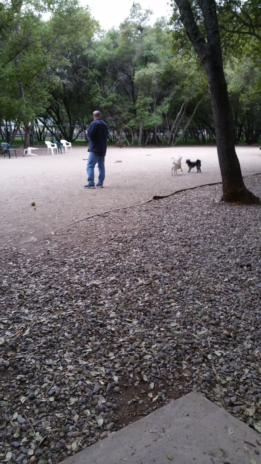 Hacienda Park - Cameron Park, CA