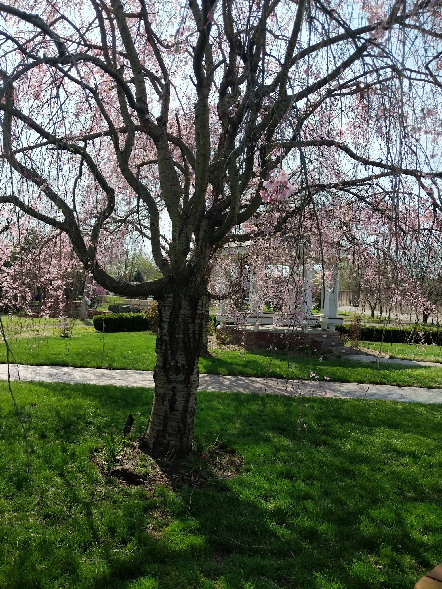 Park - Cannelton, IN