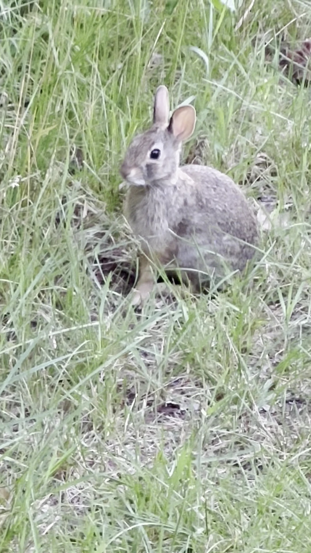 1st Lt. Arthur E. Farnham, Jr., and SSgt. Thomas M. Connolly, Jr. Memorial Park - Canton, MA