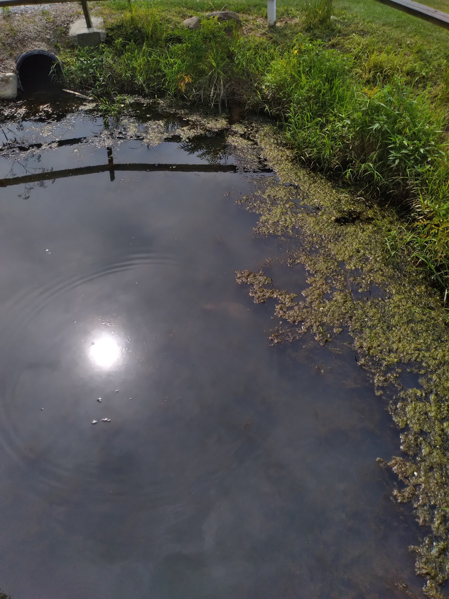 Wana B Park - Carmichaels, PA