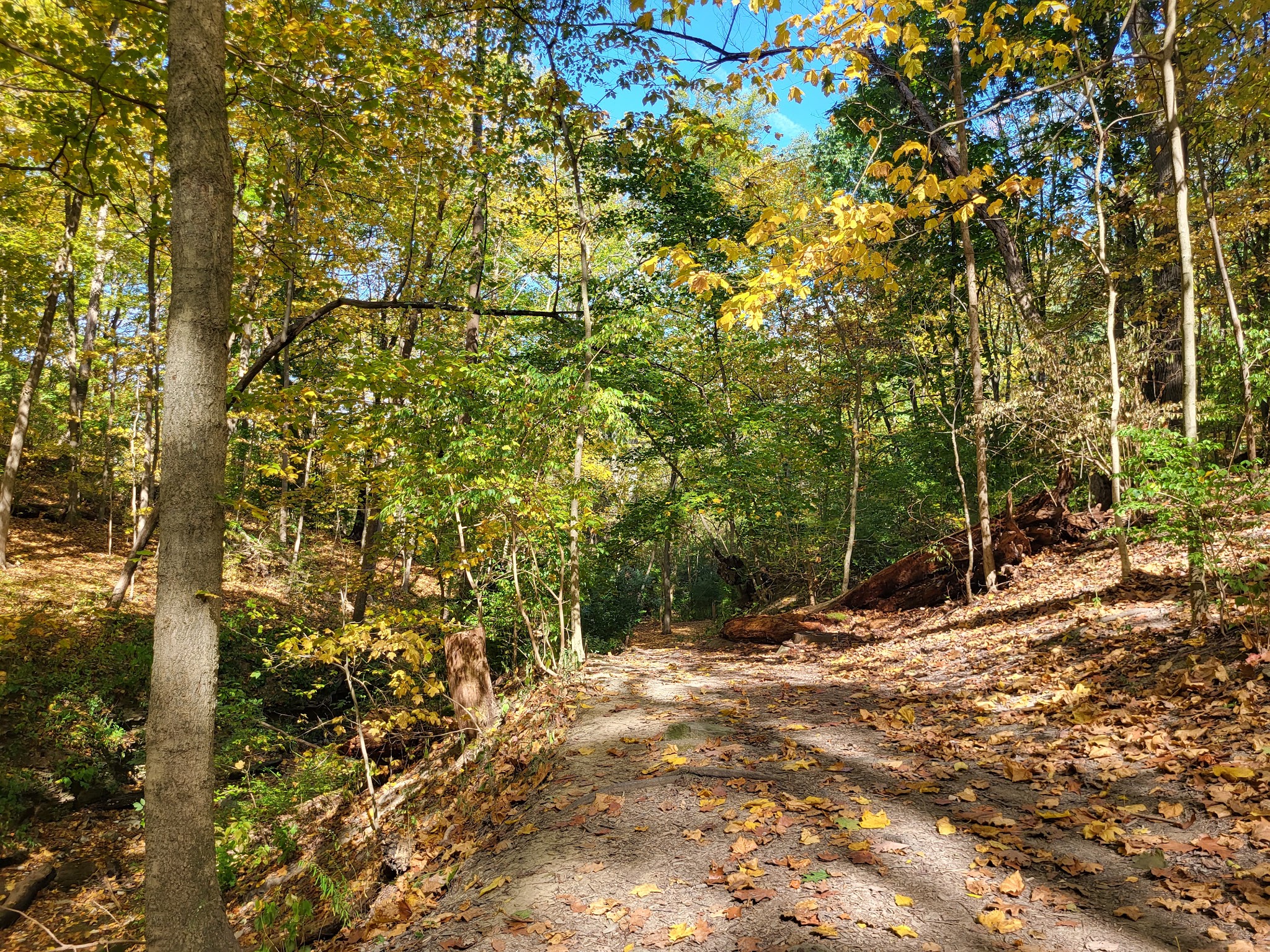 Kane Woods Nature Area - Scrubgrass Run Trailhead - Carnegie, PA