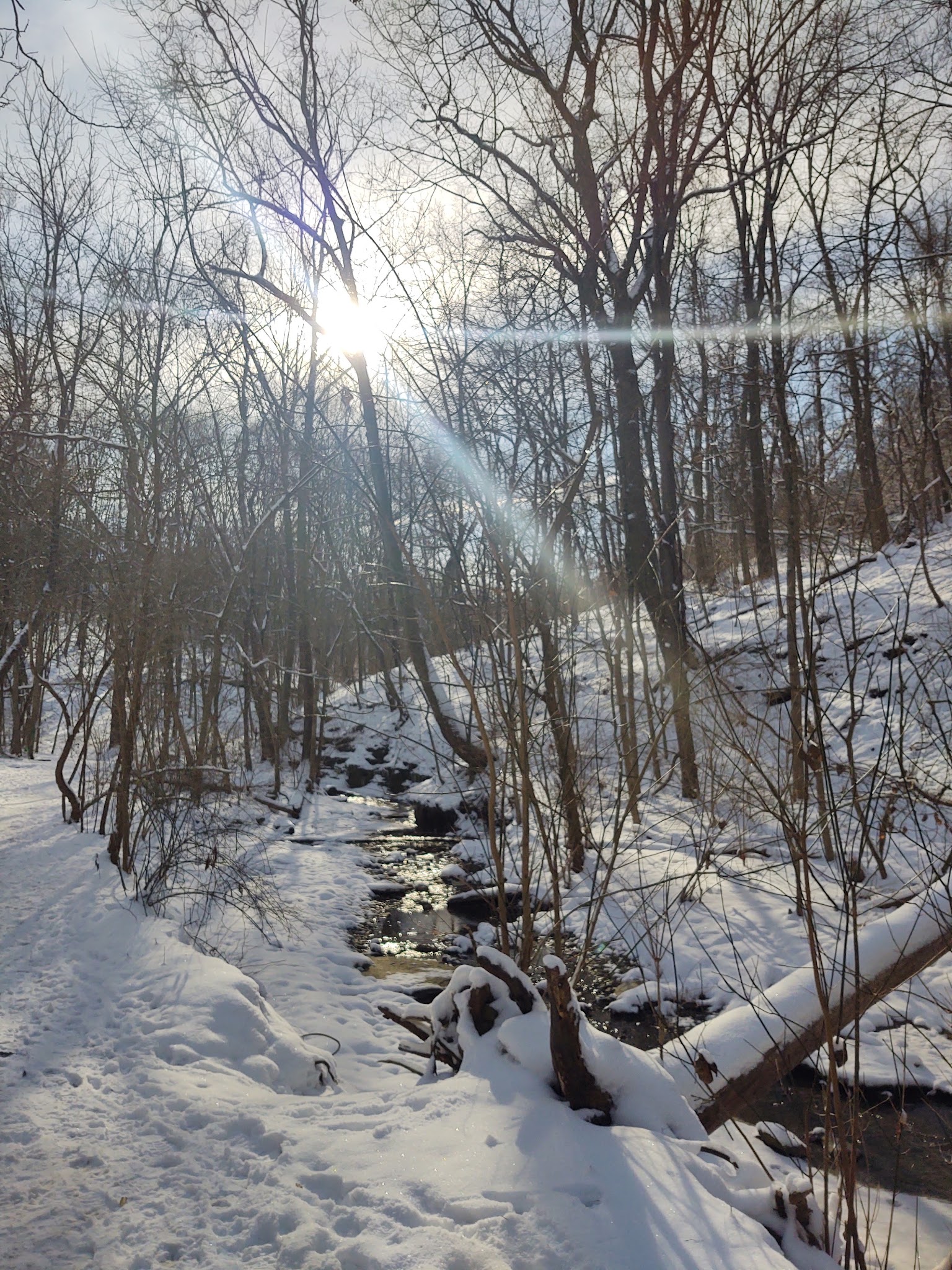 Kane Woods Nature Area - Scrubgrass Run Trailhead - Carnegie, PA