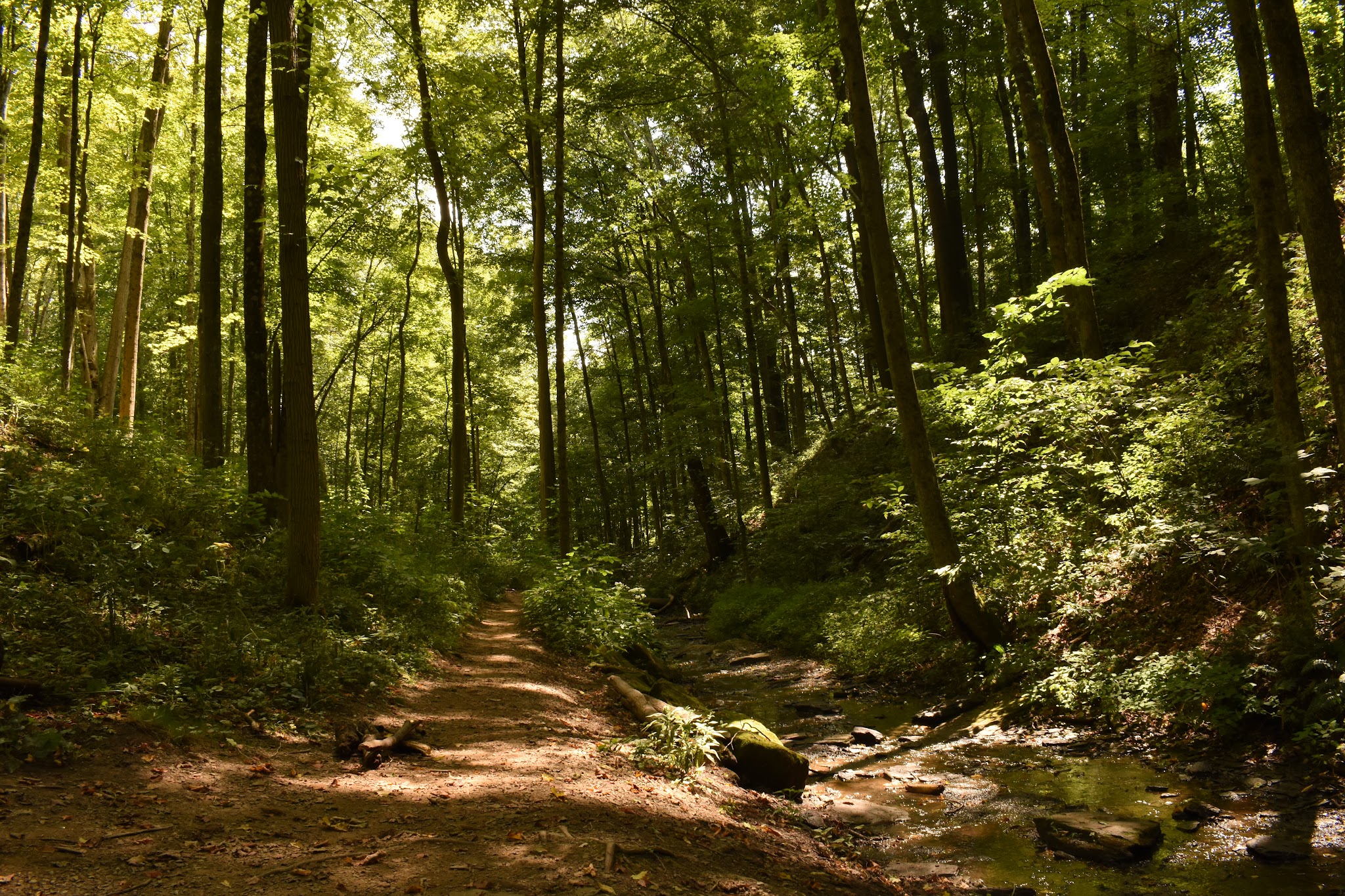 Waterfall Trail, Settlers Cabin Park - Carnegie, PA
