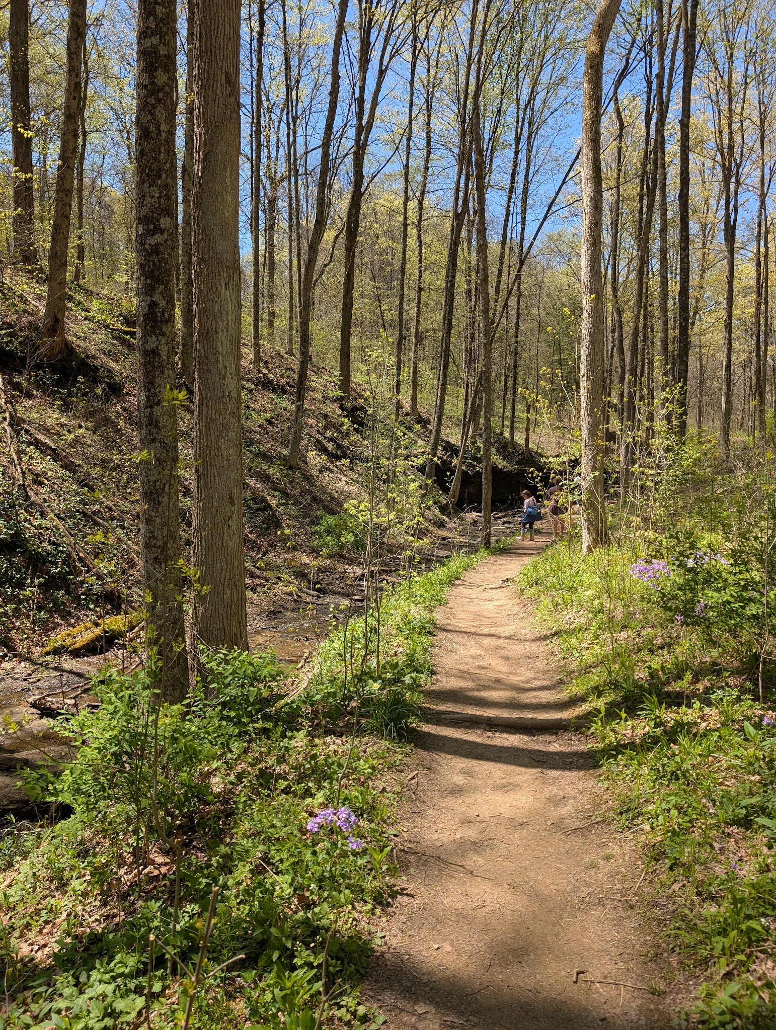 Waterfall Trail, Settlers Cabin Park - Carnegie, PA