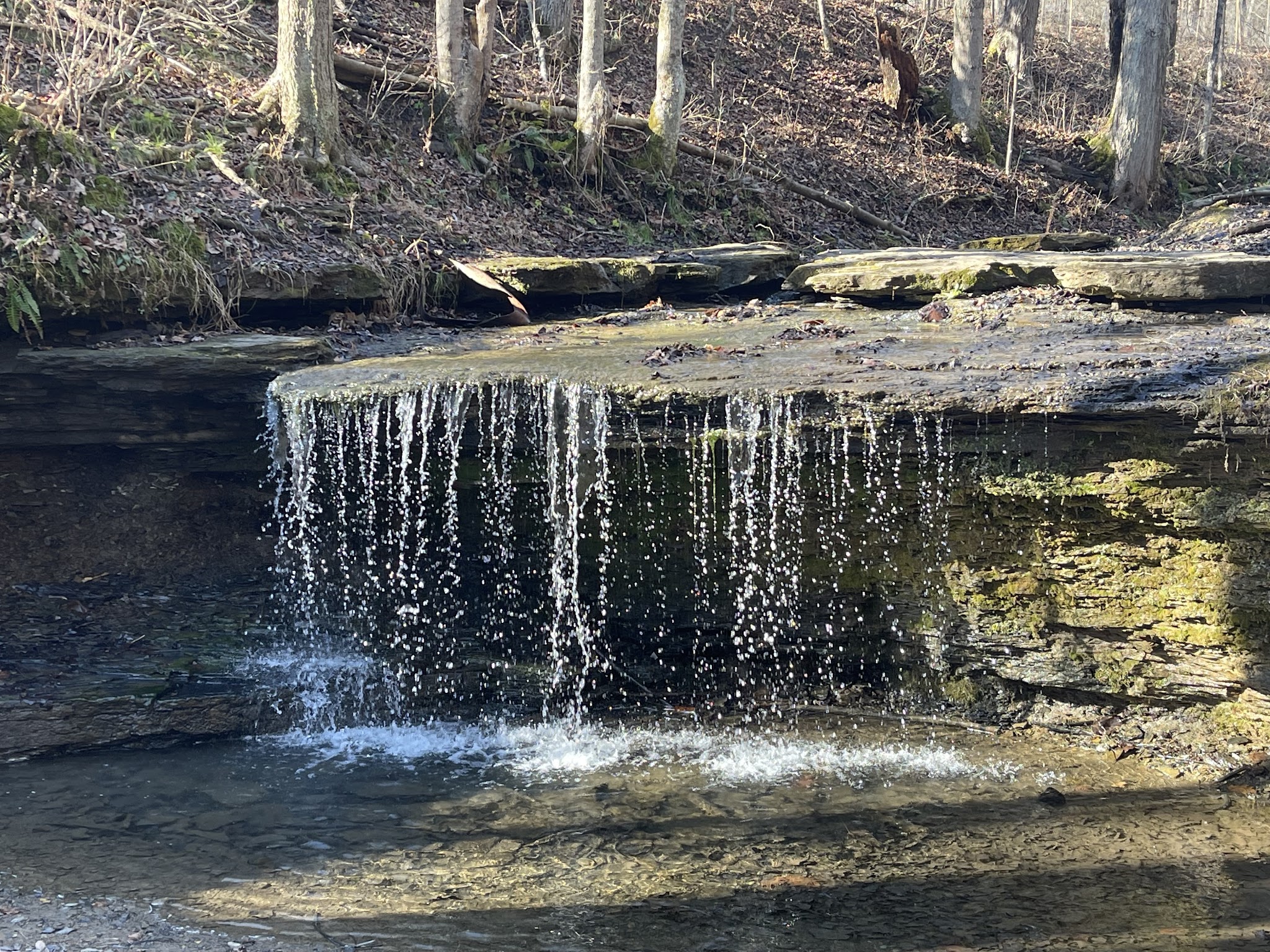 Waterfall Trail, Settlers Cabin Park - Carnegie, PA