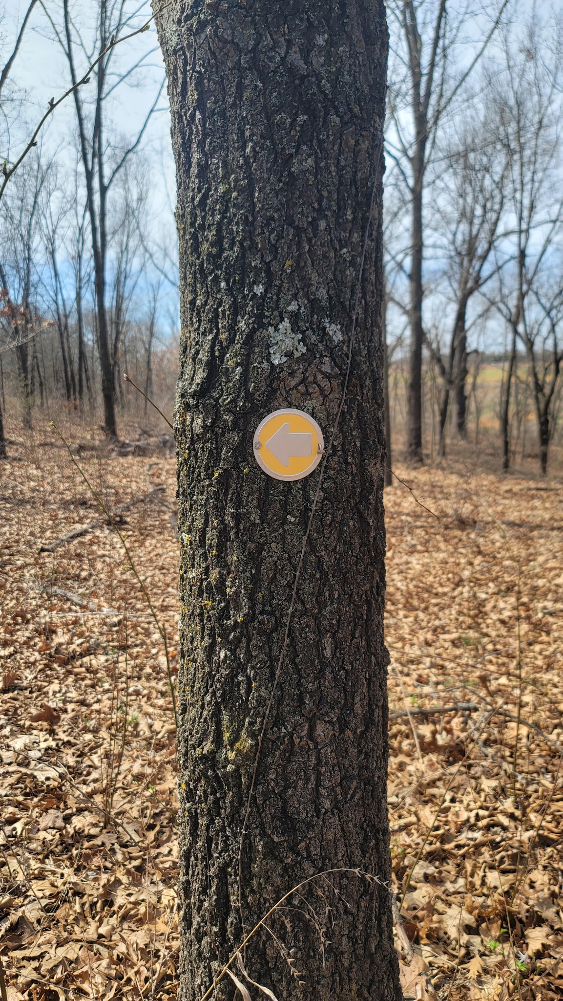 Cardinal Valley Trail Head - Carterville, MO