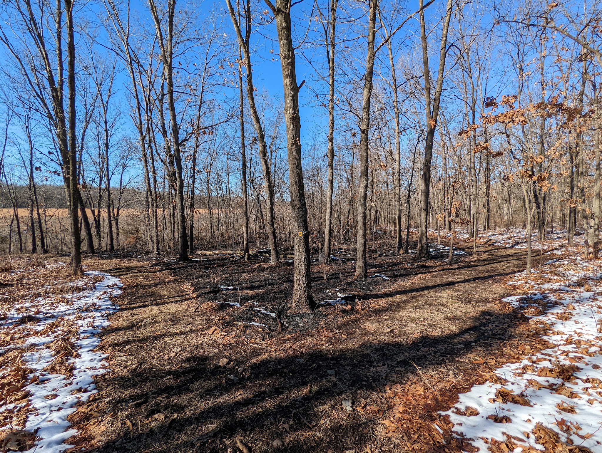 Cardinal Valley Trail Head - Carterville, MO