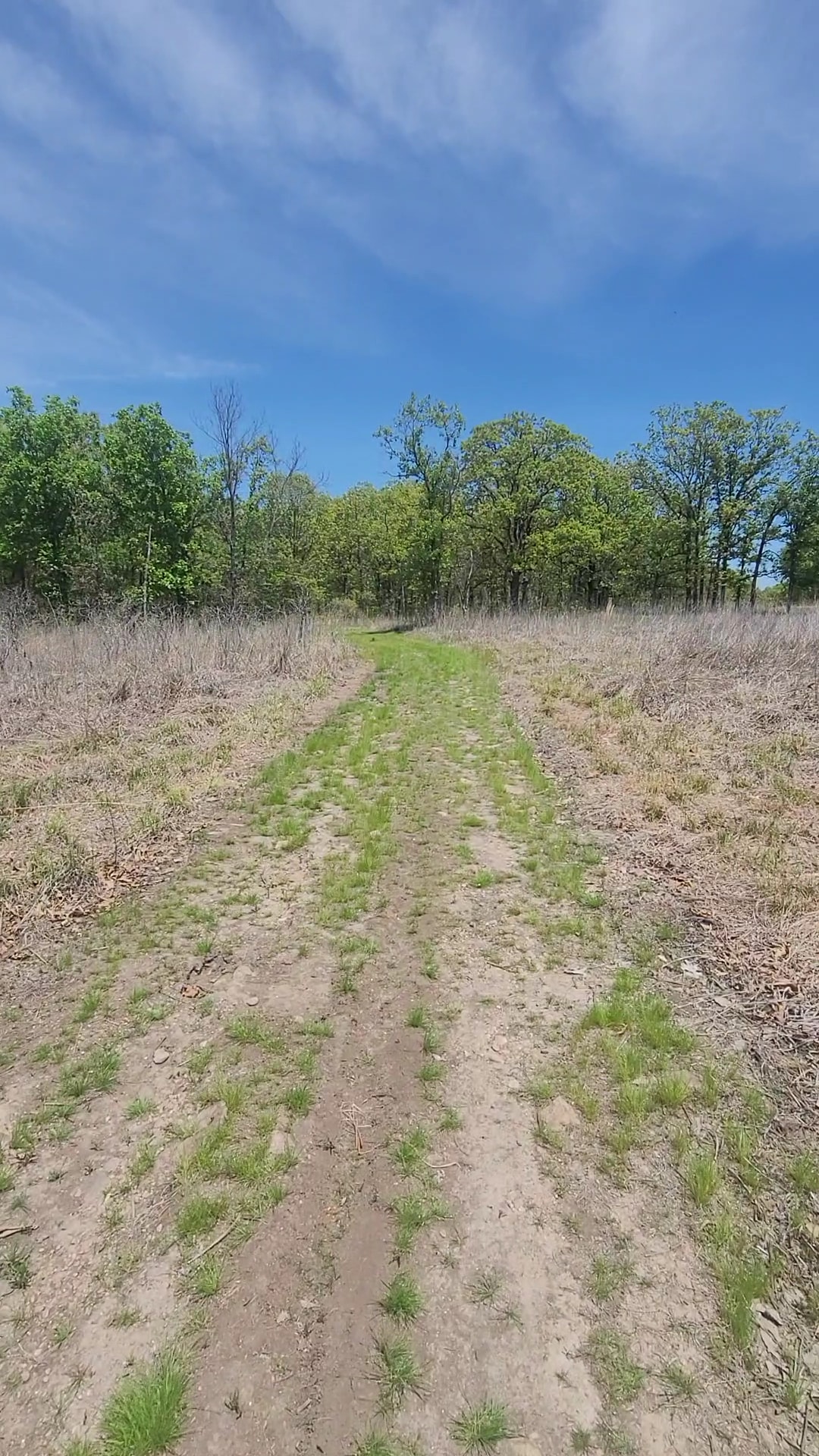 Cardinal Valley Trail Head - Carterville, MO