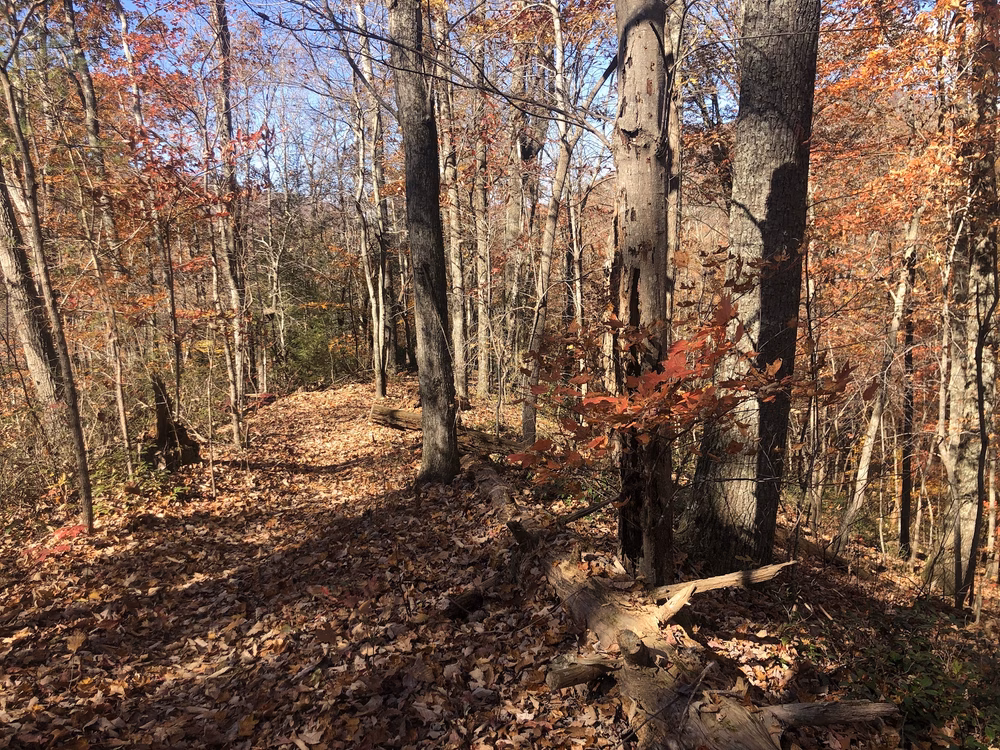 Bruce Gap (Cove Creek) Trailhead of the Cumberland Trail - Caryville, TN