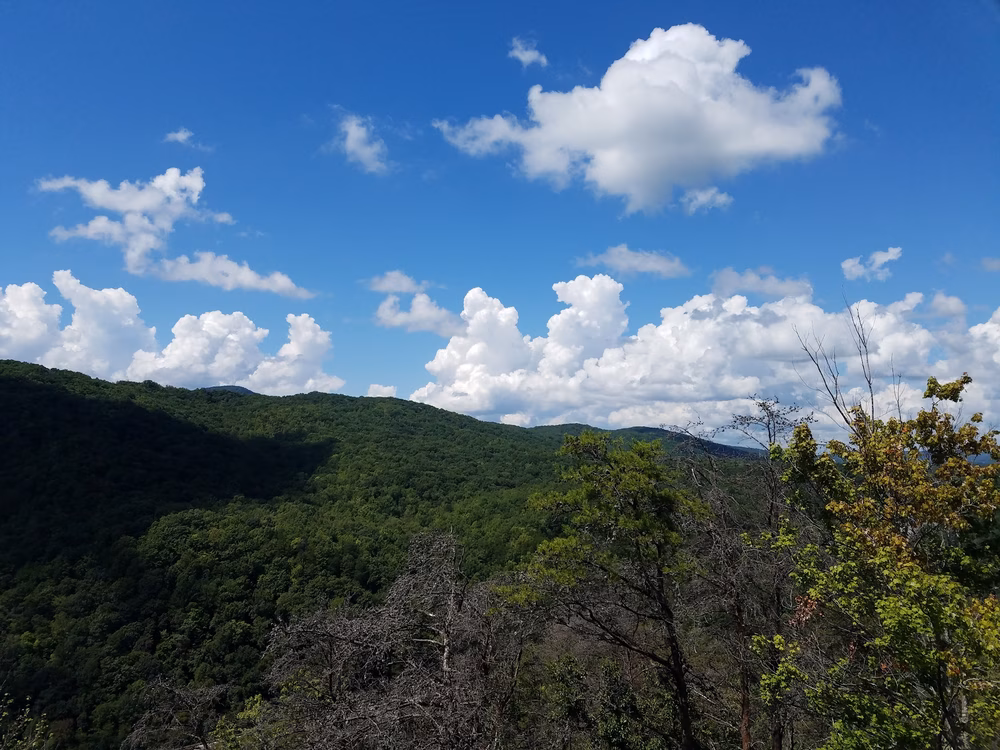Bruce Gap (Cove Creek) Trailhead of the Cumberland Trail - Caryville, TN