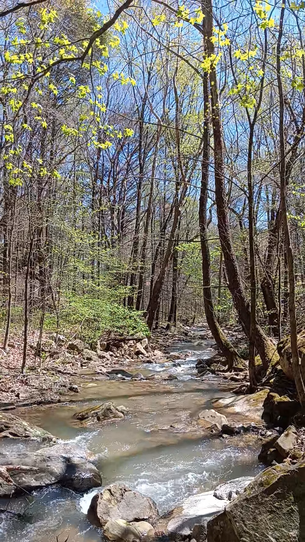 Triple Falls Parking Lot - Caryville, TN