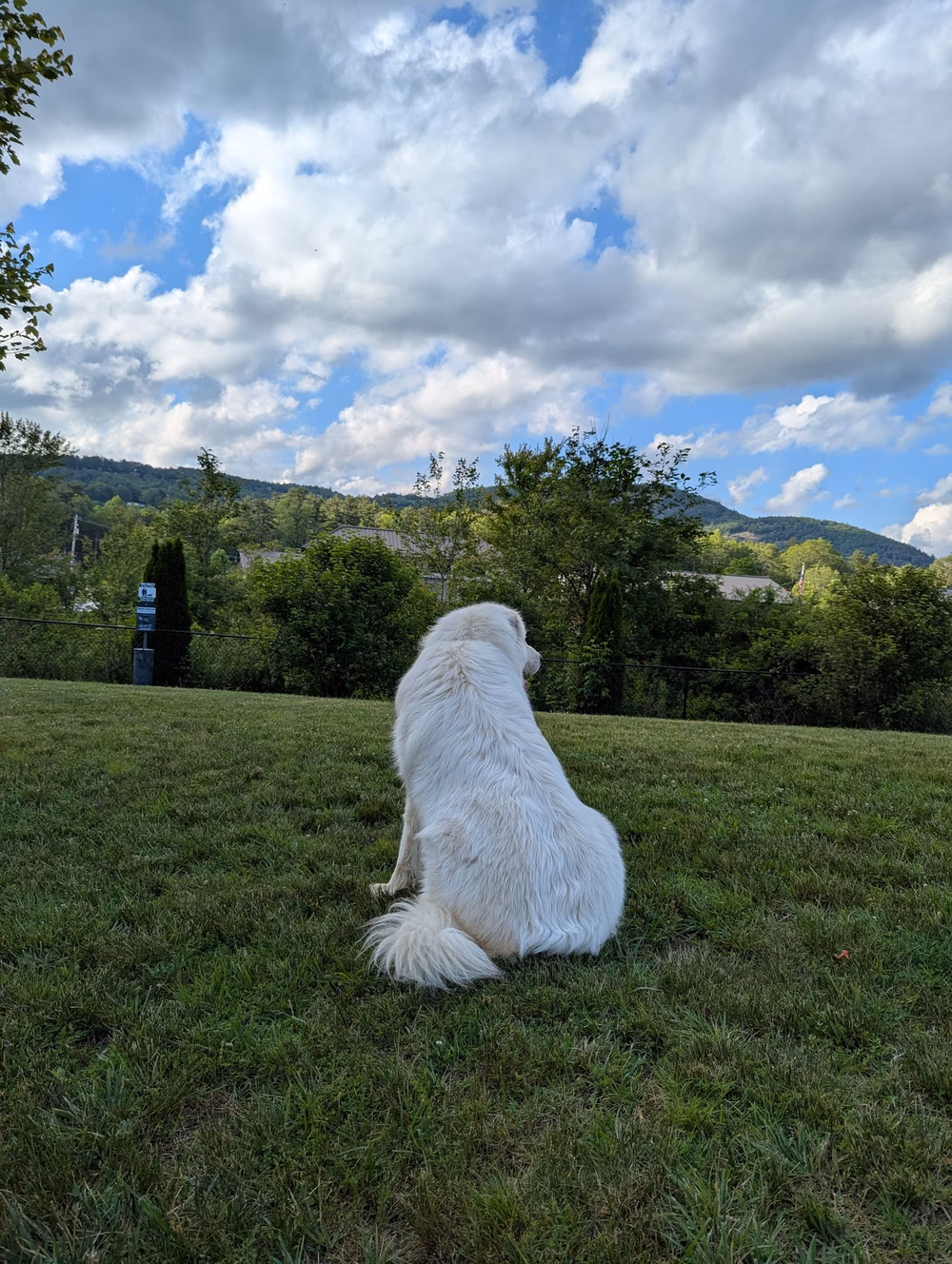 Cashiers Dog Park - Cashiers, NC