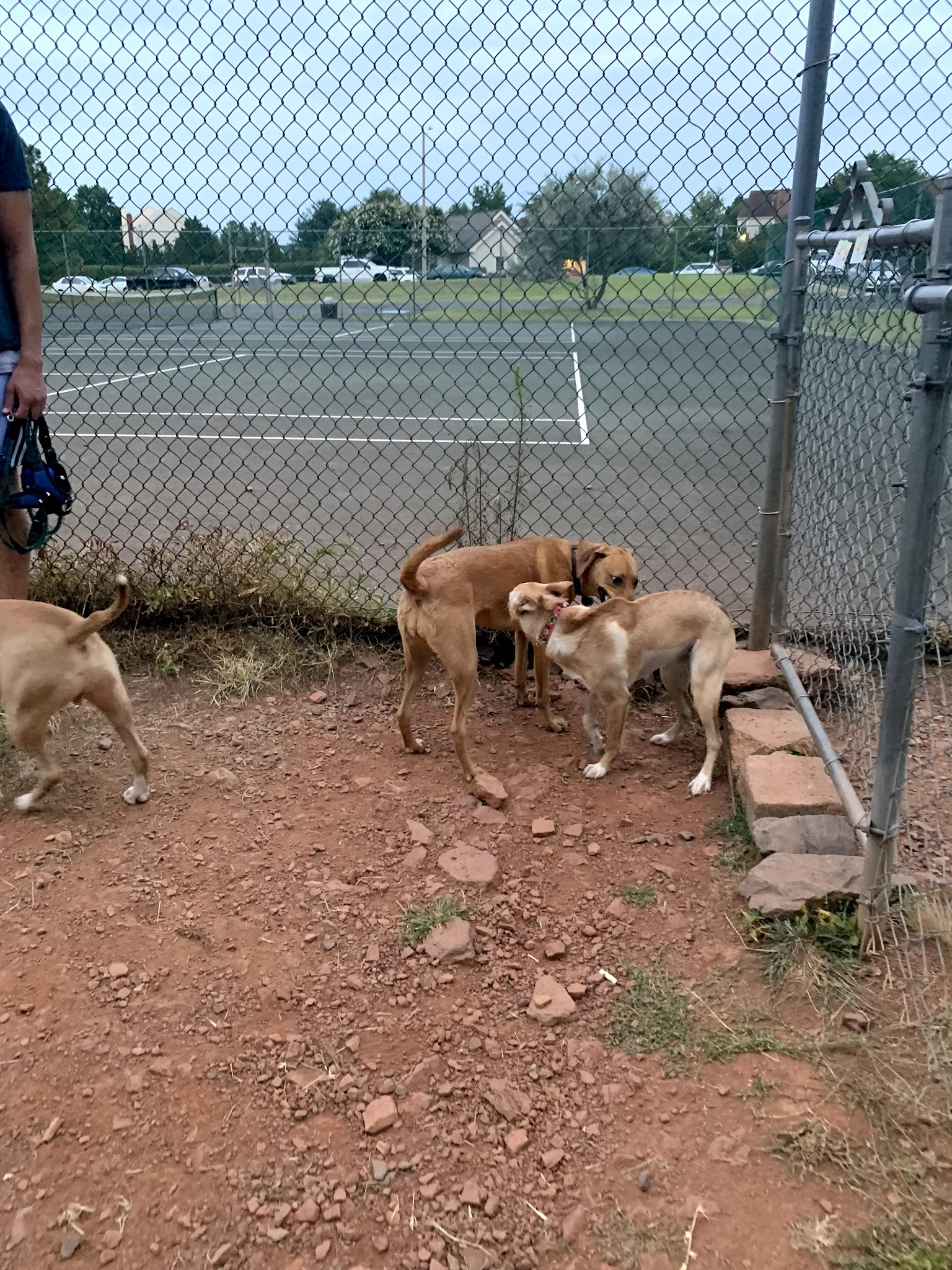 Heritage Forest Dog Park - Centreville, VA