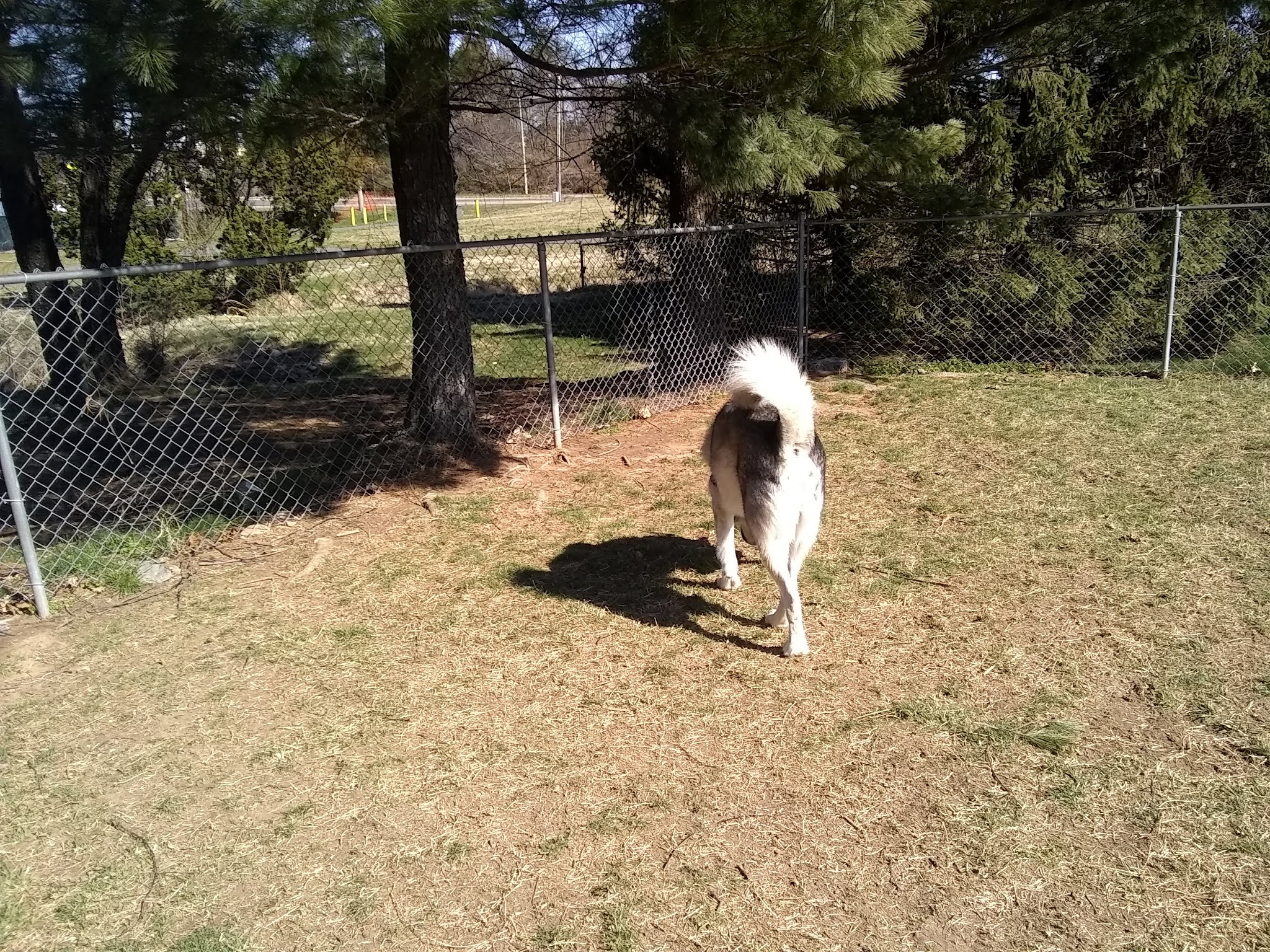 Heritage Forest Dog Park - Centreville, VA
