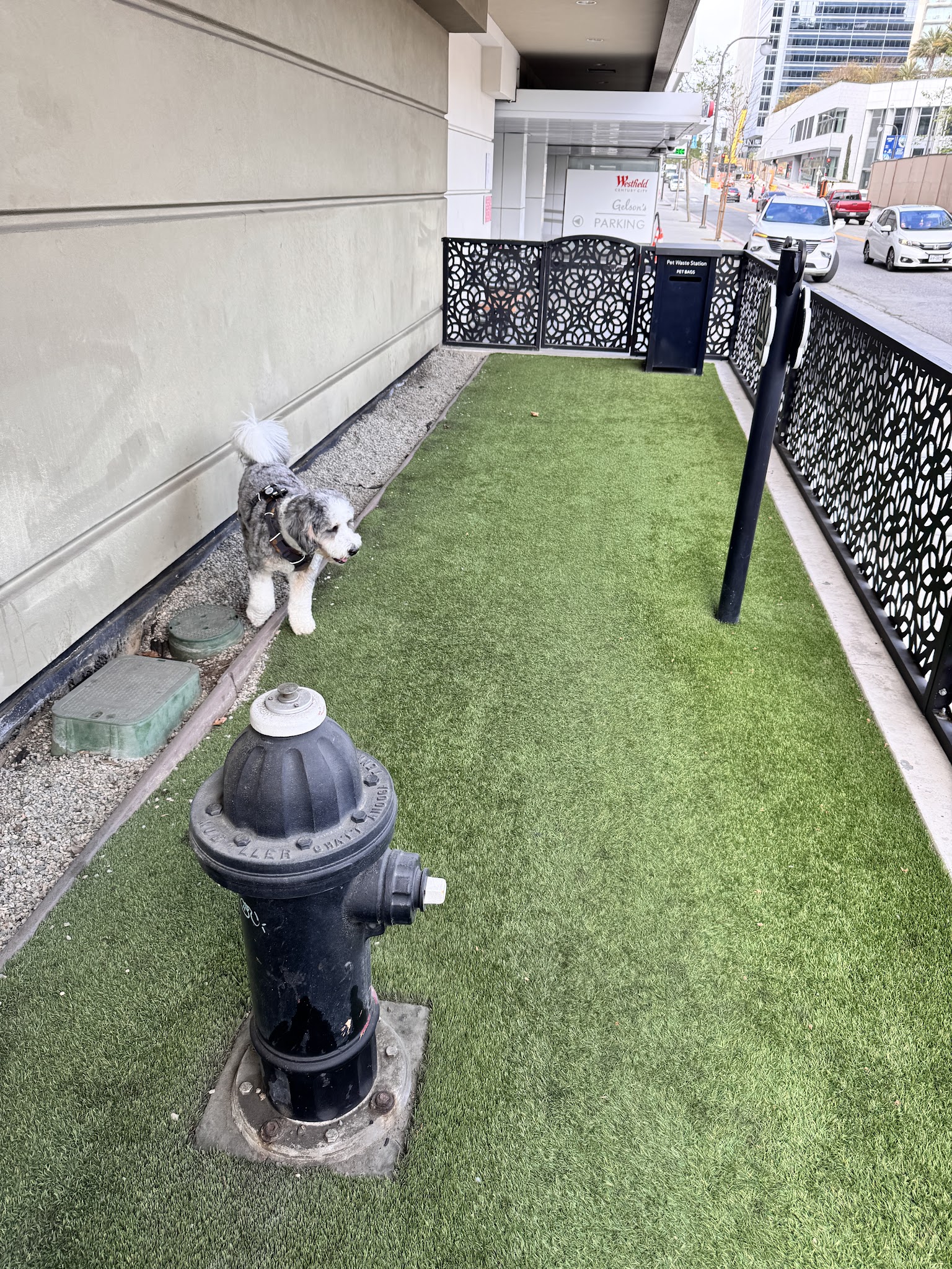Dog park - Century City, CA
