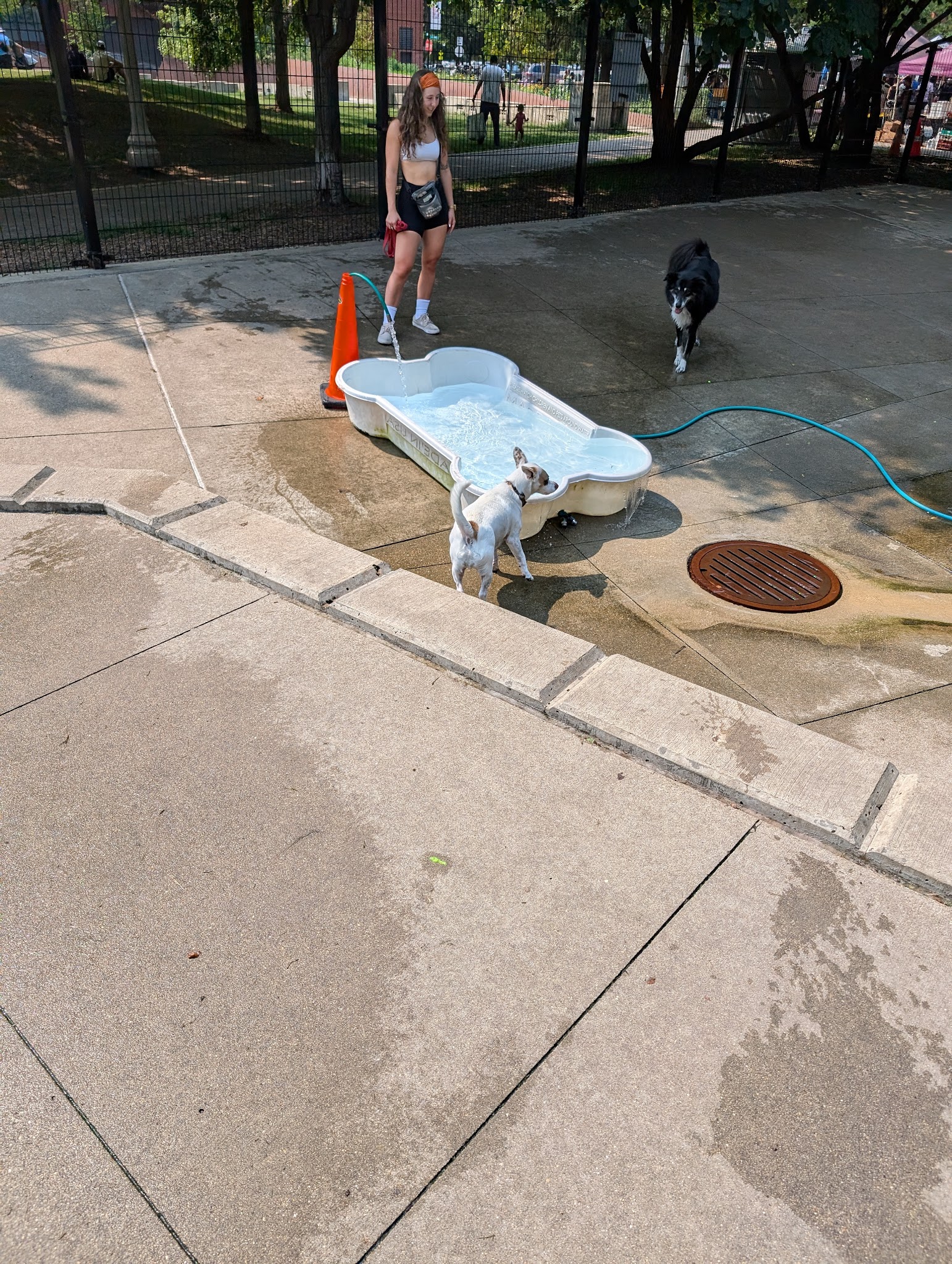 Bartelme Dog Friendly Area - Chicago, IL