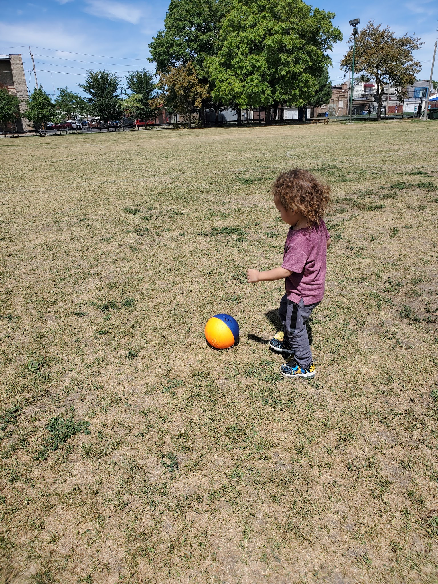 Blackhawk Park - Chicago, IL