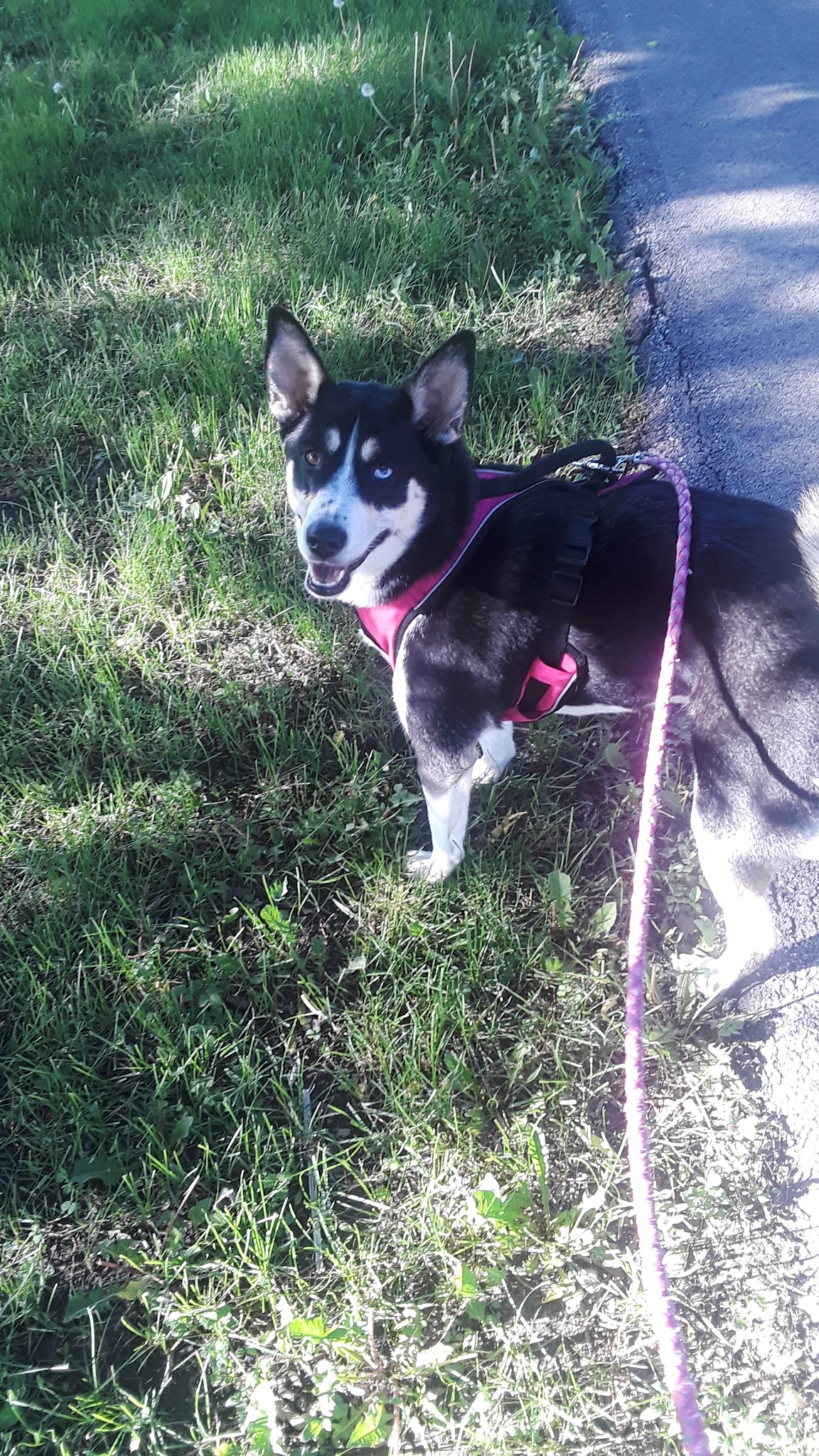 Bogan Park - Chicago, IL