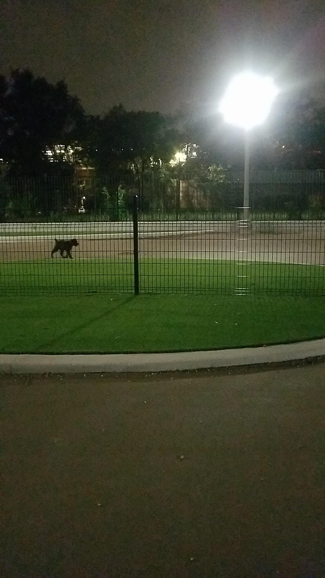 Bronzeville Dog Park: Park# 590 - Chicago, IL