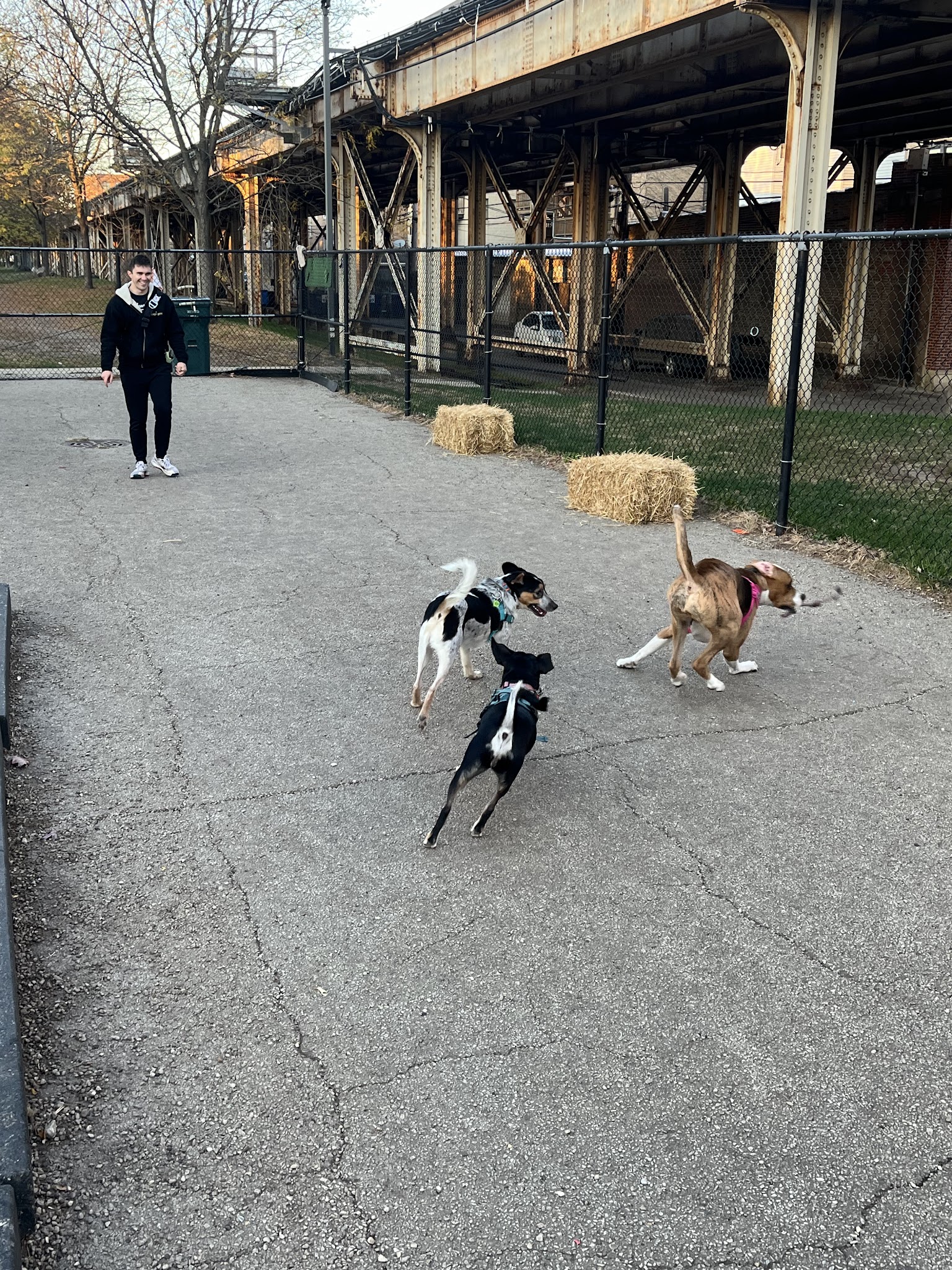 Challenger Park - Chicago, IL