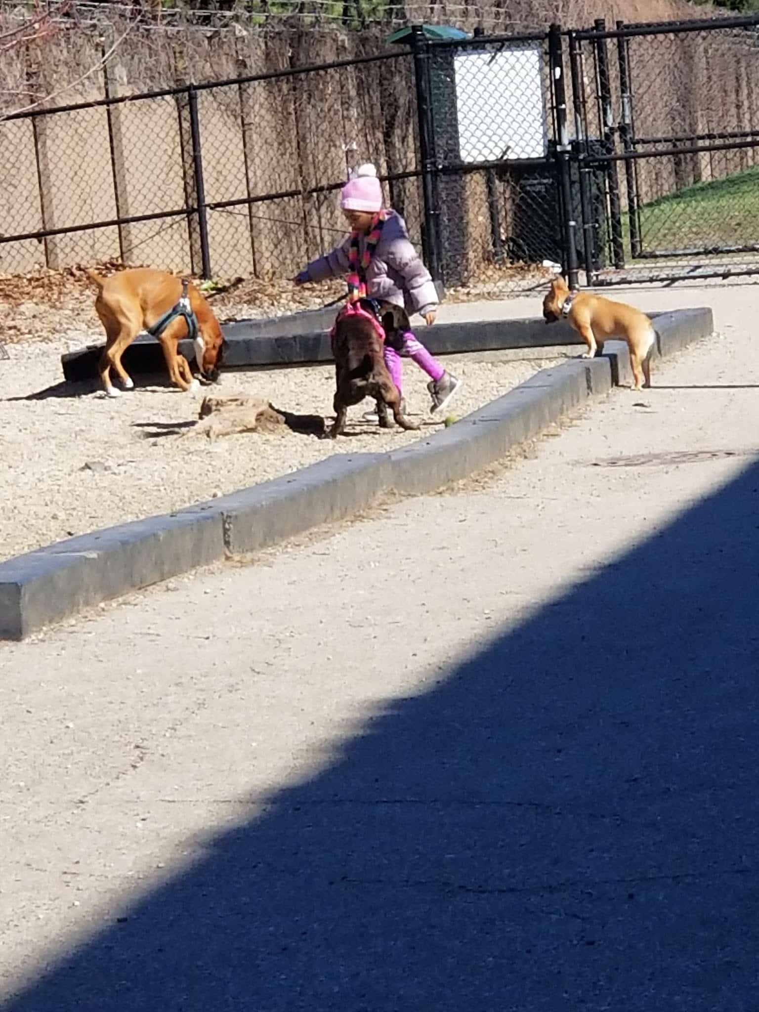 Challenger Park - Chicago, IL