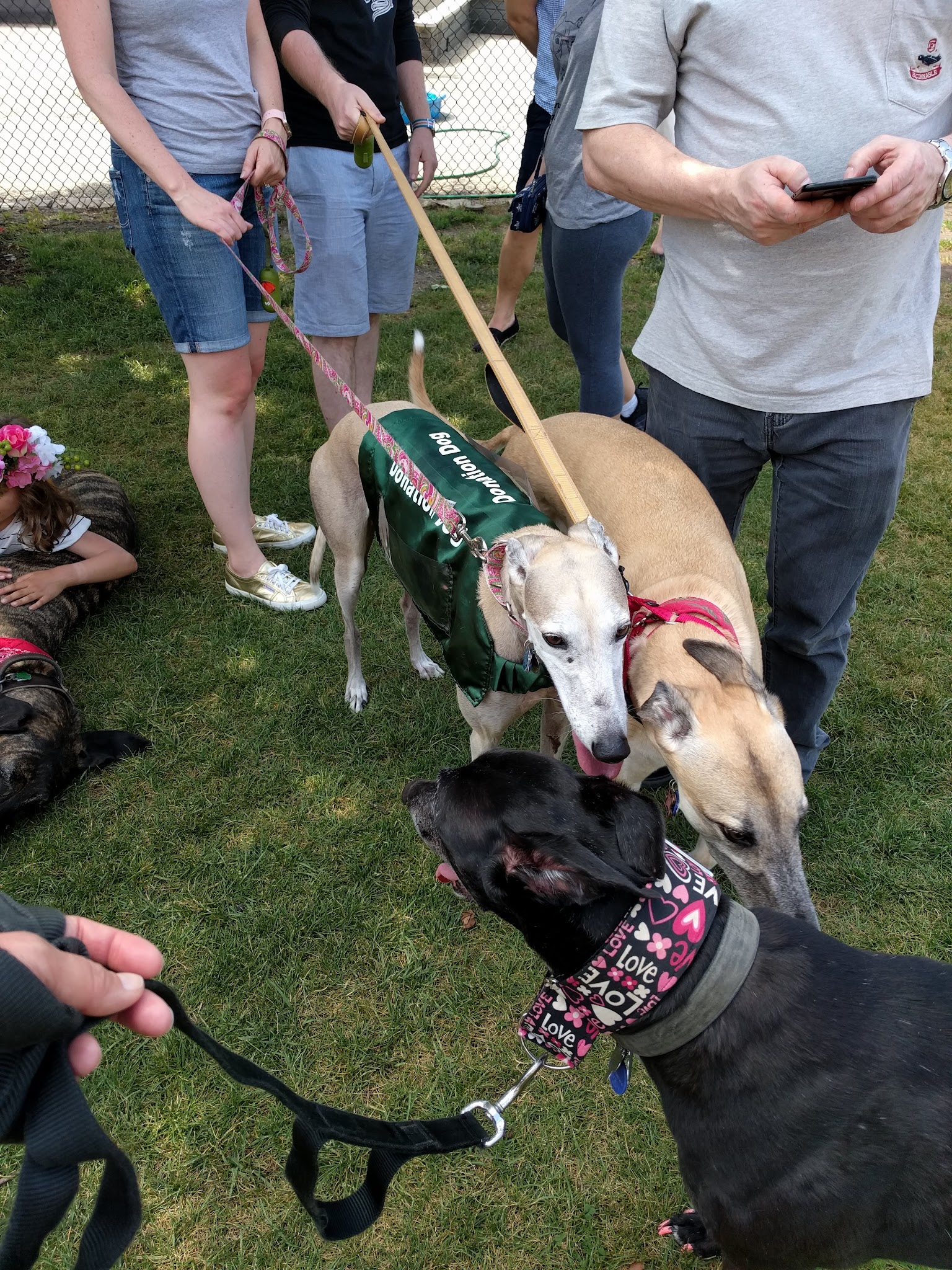 Churchill Park Ball Field - Chicago, IL