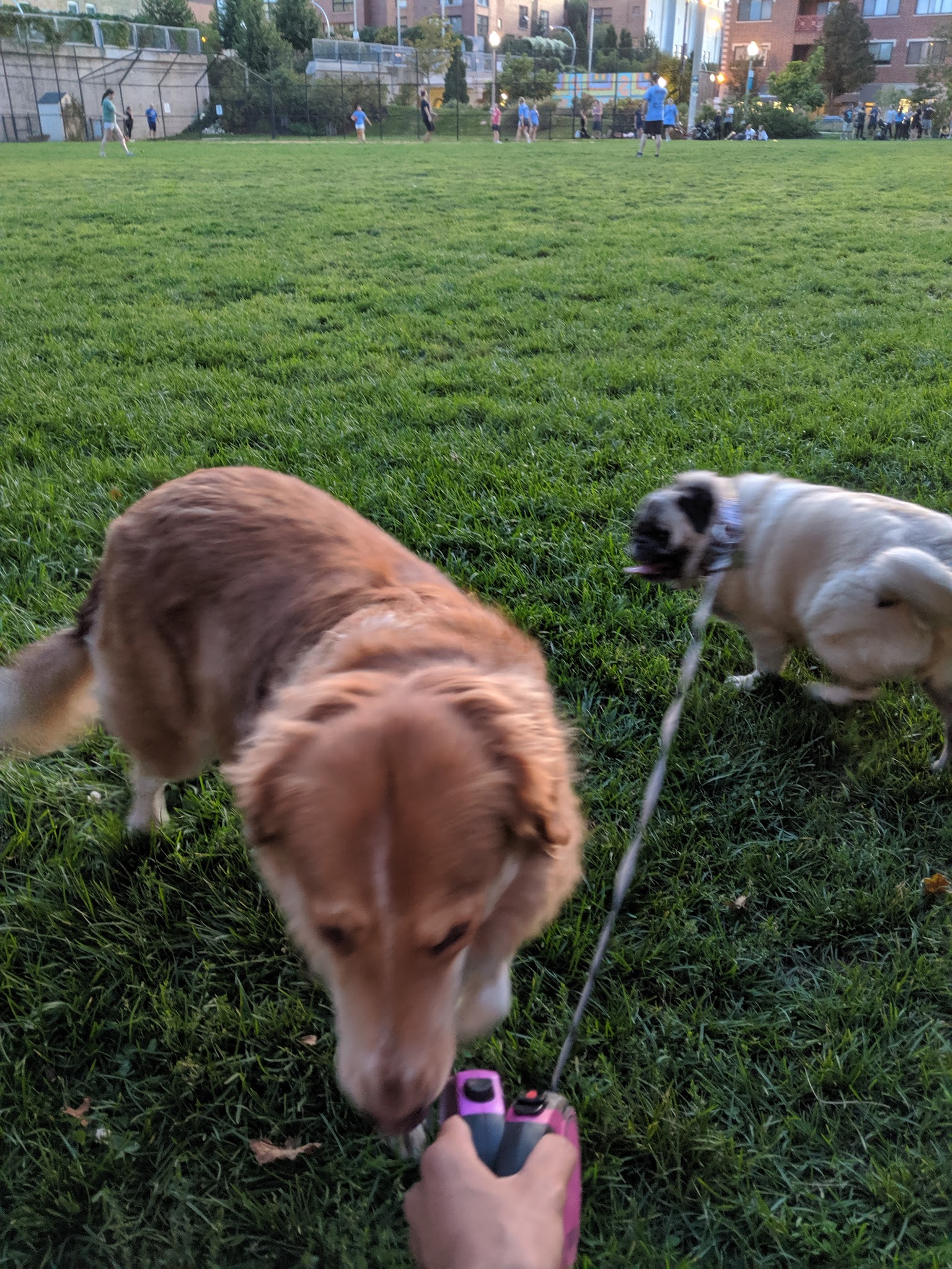 Churchill Park Ball Field - Chicago, IL