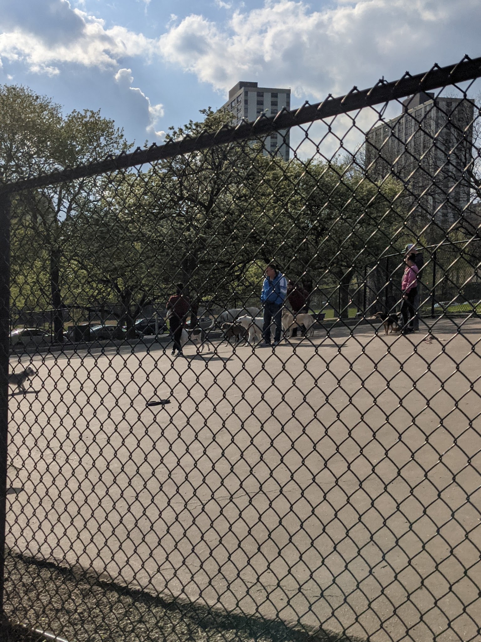 Clarendon Dog Friendly Area - Chicago, IL