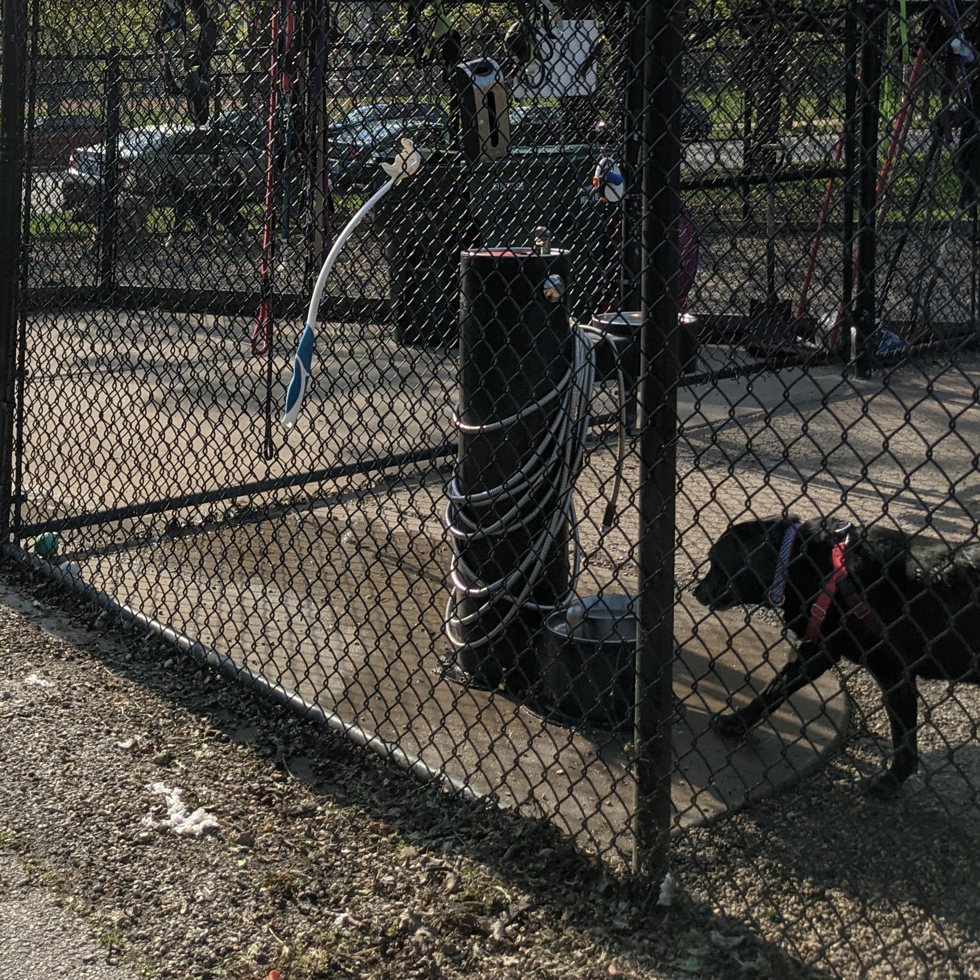 Clarendon Dog Friendly Area - Chicago, IL