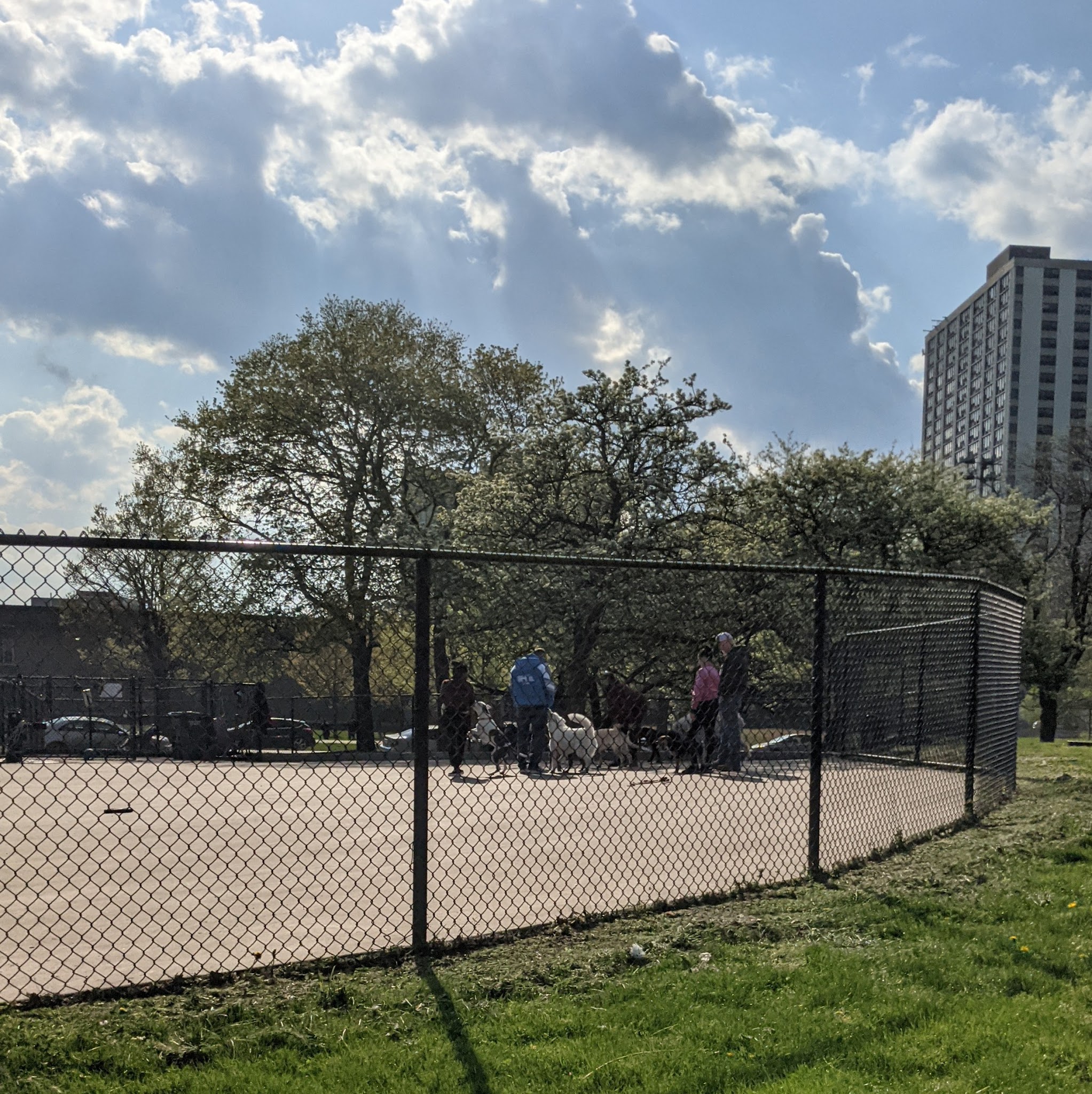 Clarendon Dog Friendly Area - Chicago, IL