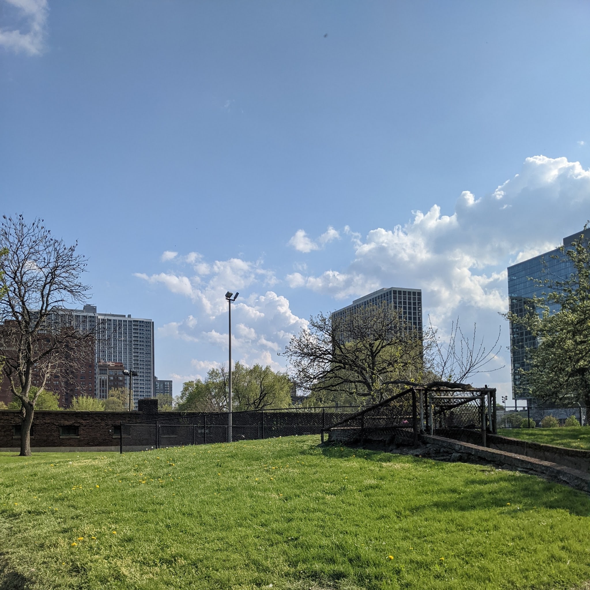 Clarendon Dog Friendly Area - Chicago, IL