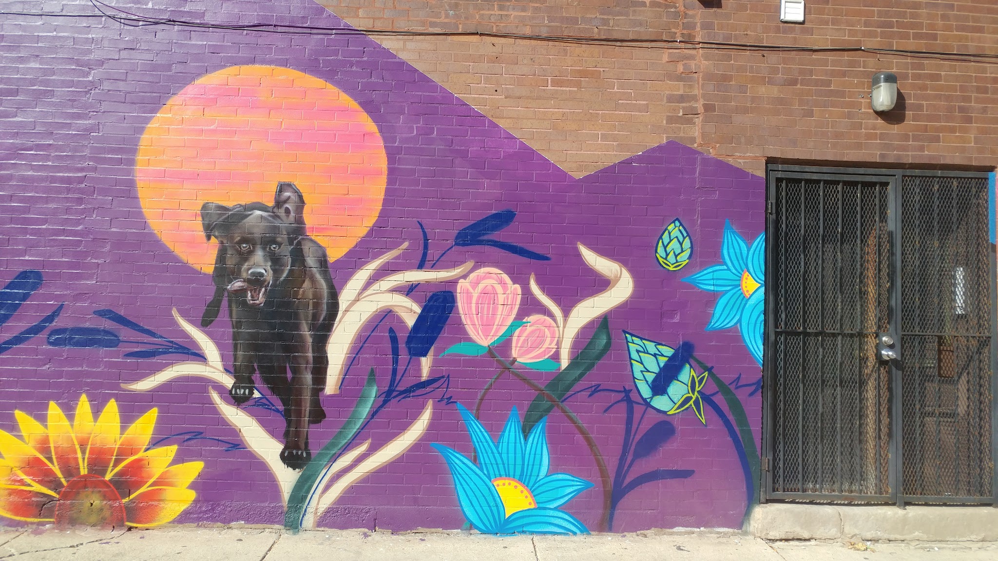 Dog park - Chicago, IL