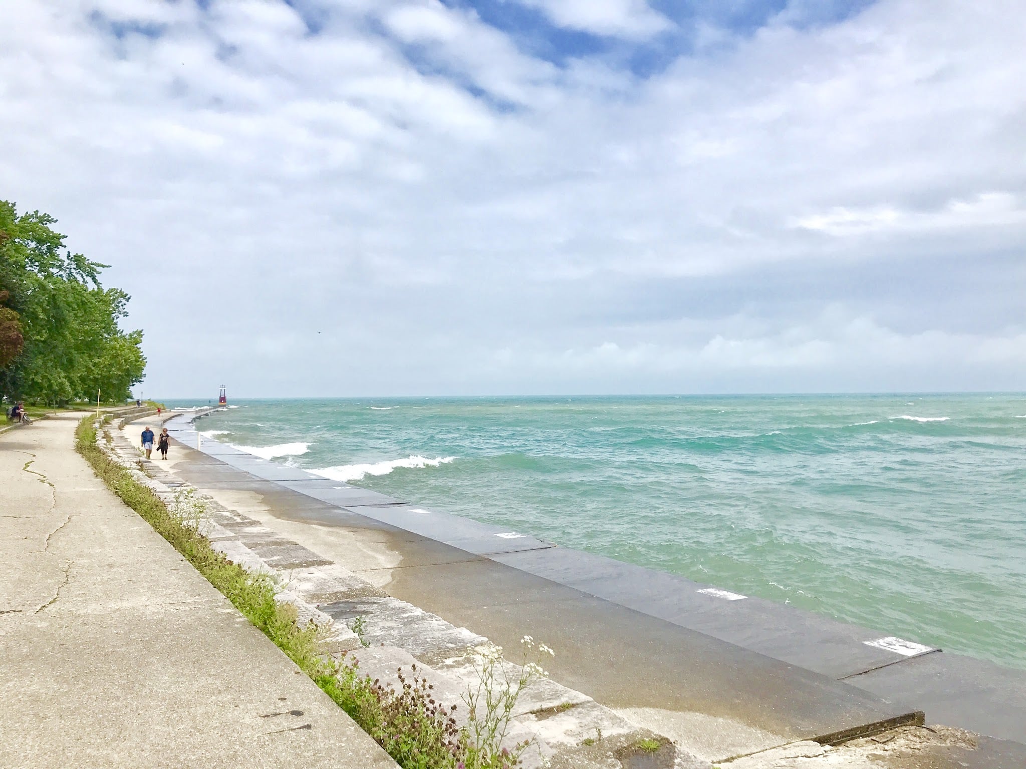 Edgewater Dog Park - Chicago, IL