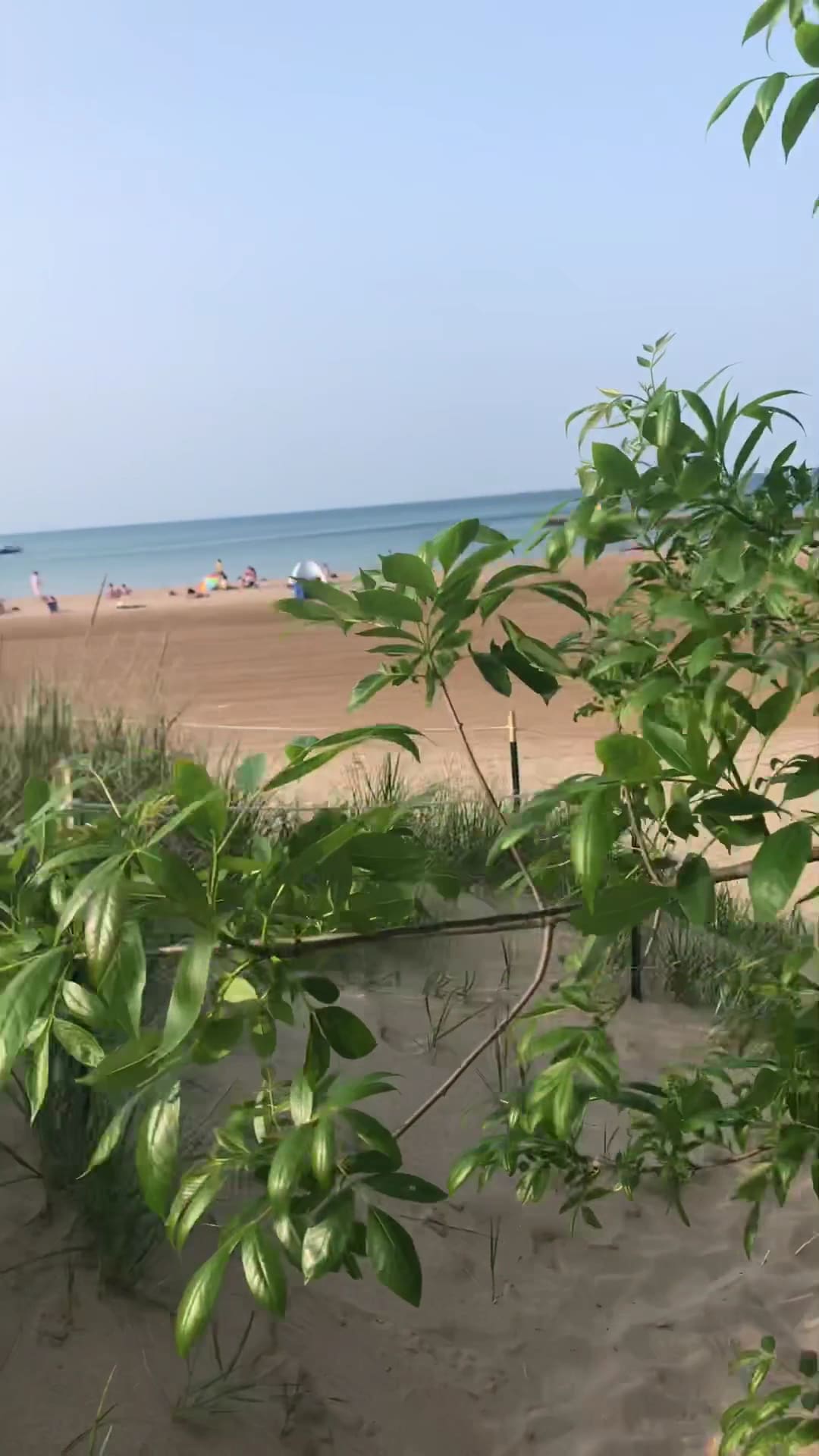 Edgewater Dog Park - Chicago, IL