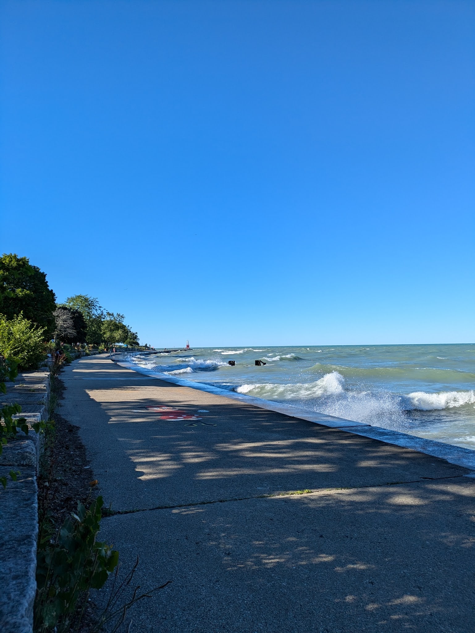 Edgewater Dog Park - Chicago, IL