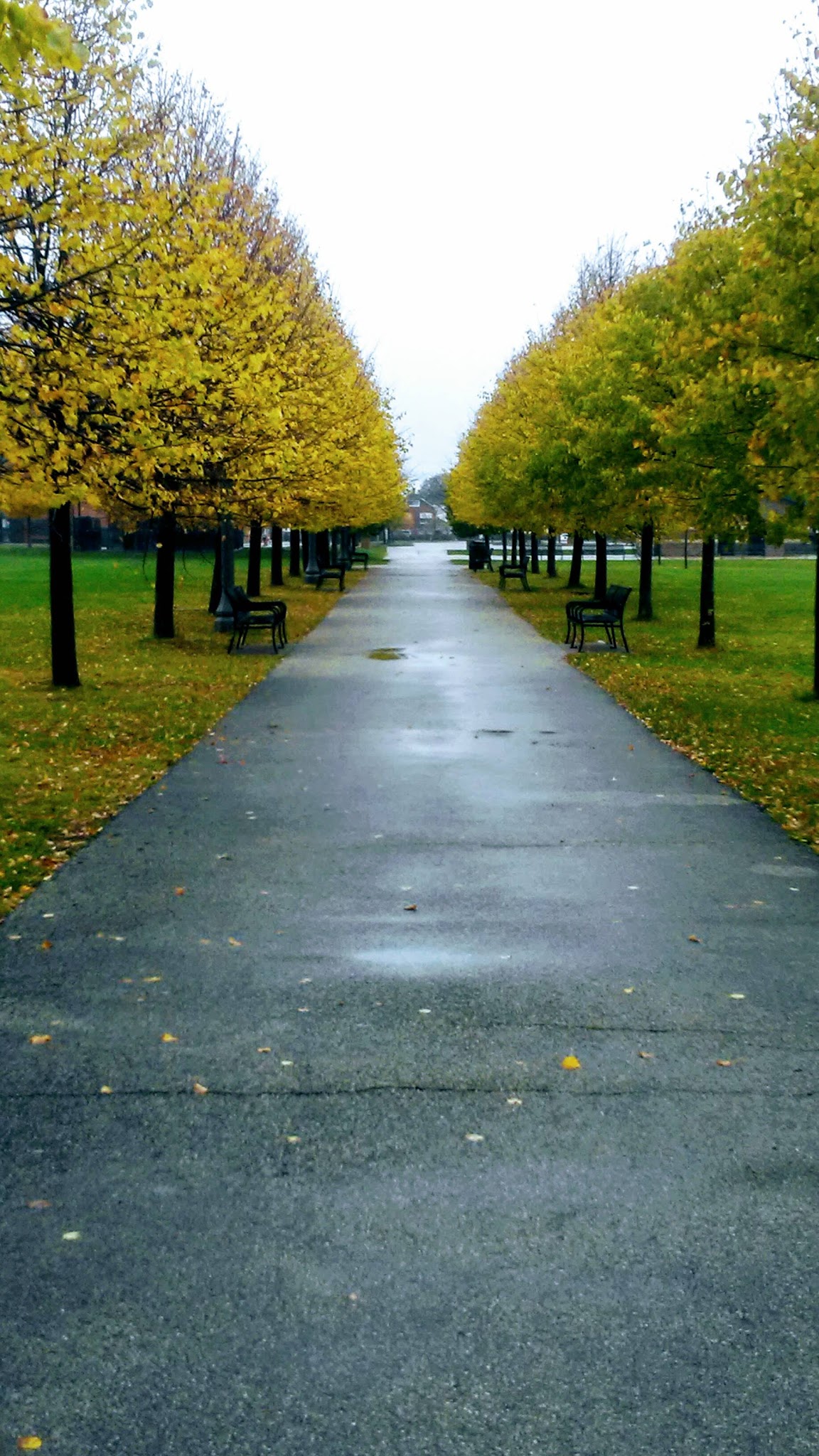 Hanson Park - Chicago, IL