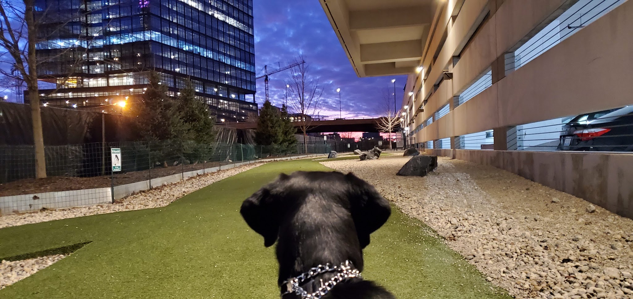 K2 Apartments Dog Park - Chicago, IL