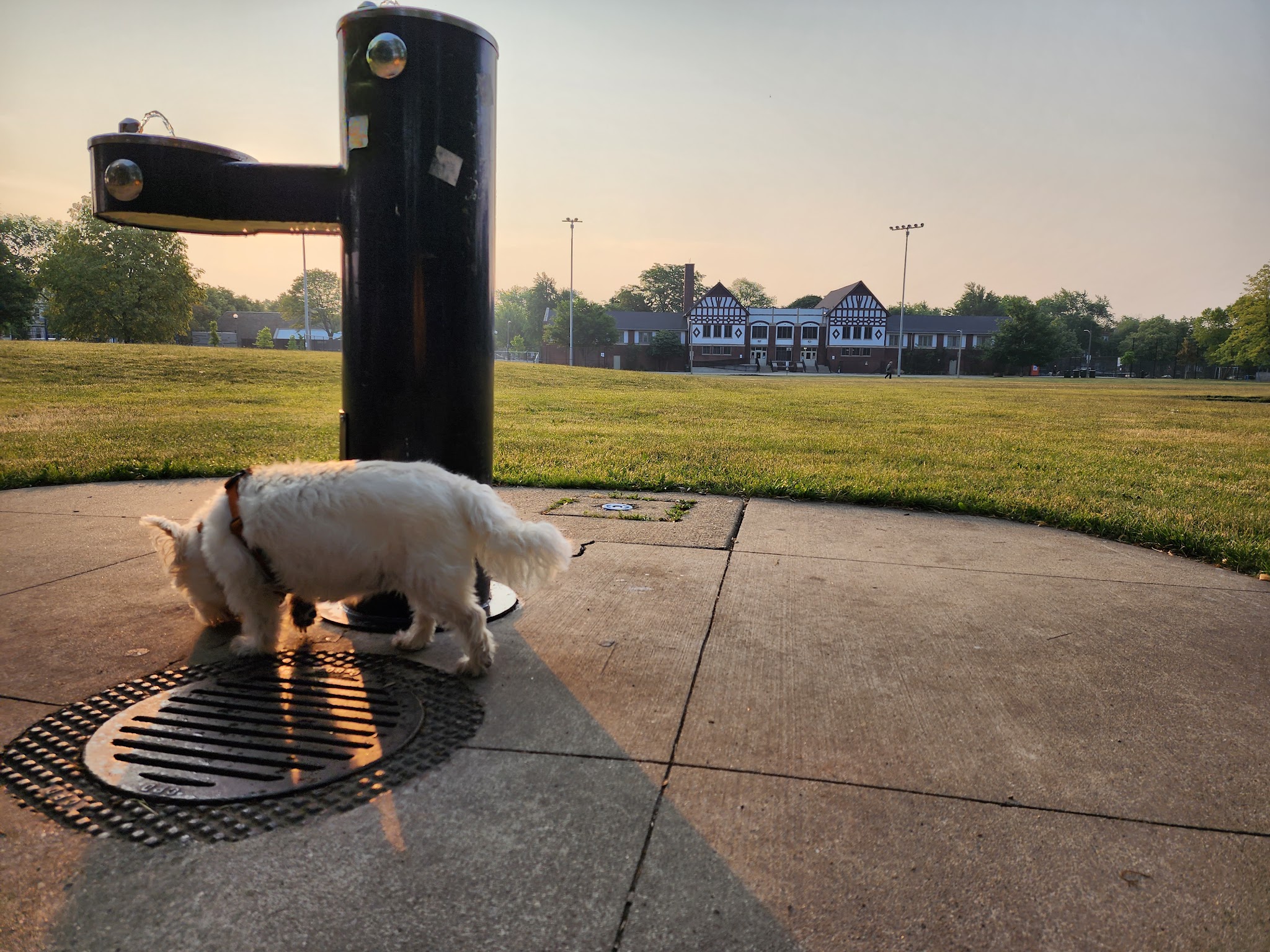 Kosciuszko Park Dog Park - Chicago, IL