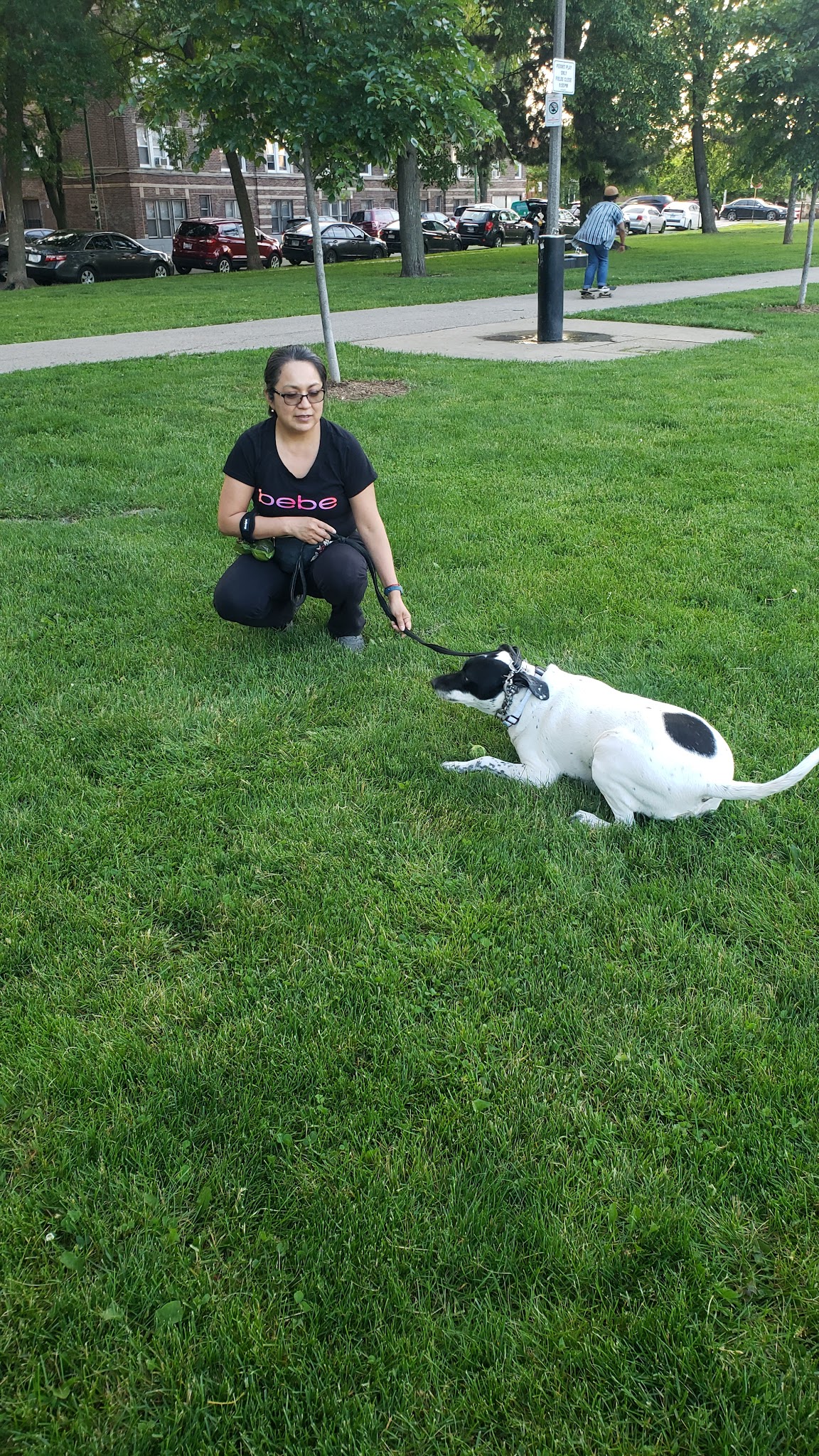 Kosciuszko Park Dog Park - Chicago, IL