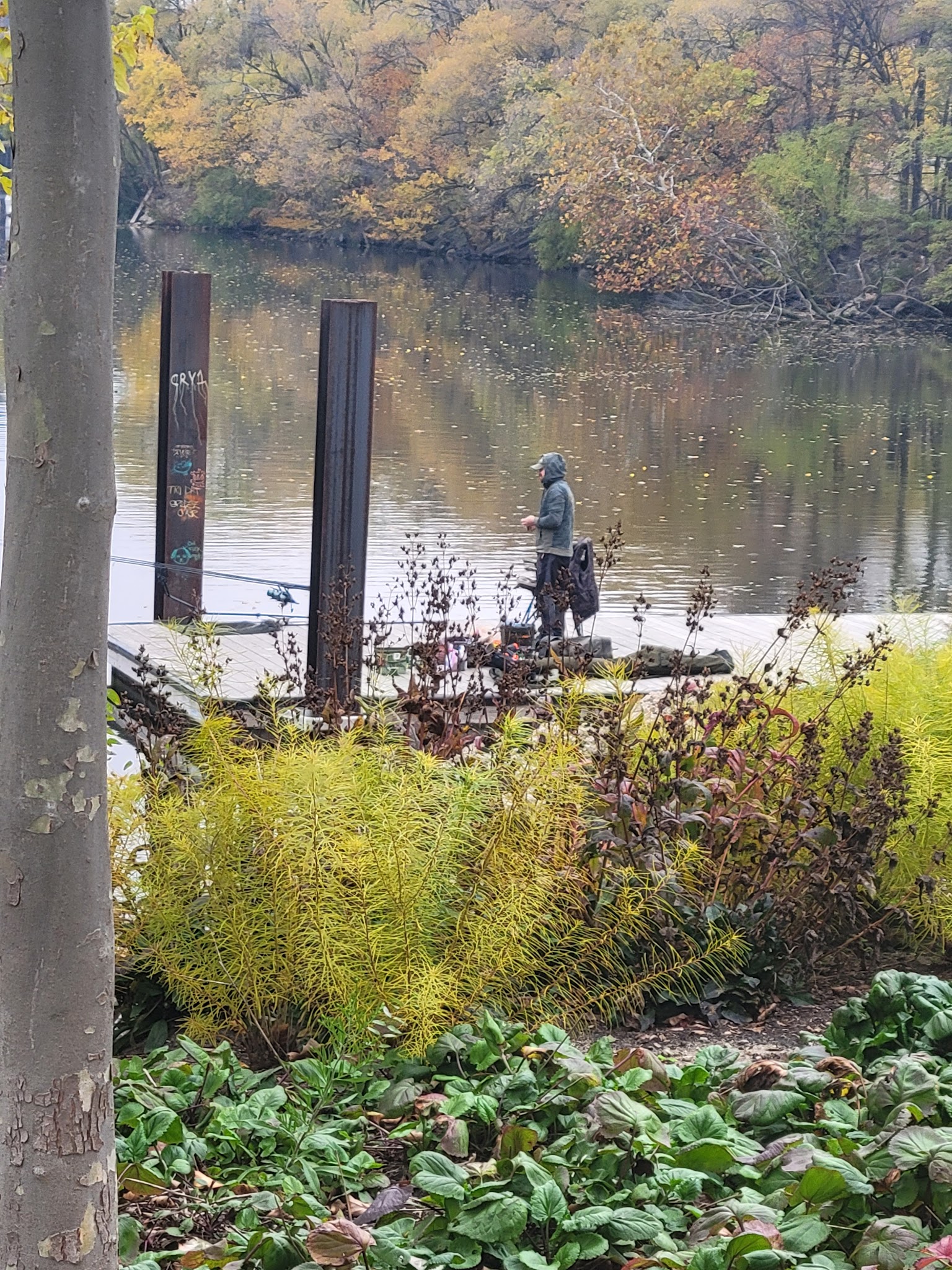 Lathrop Dog Park - Chicago, IL